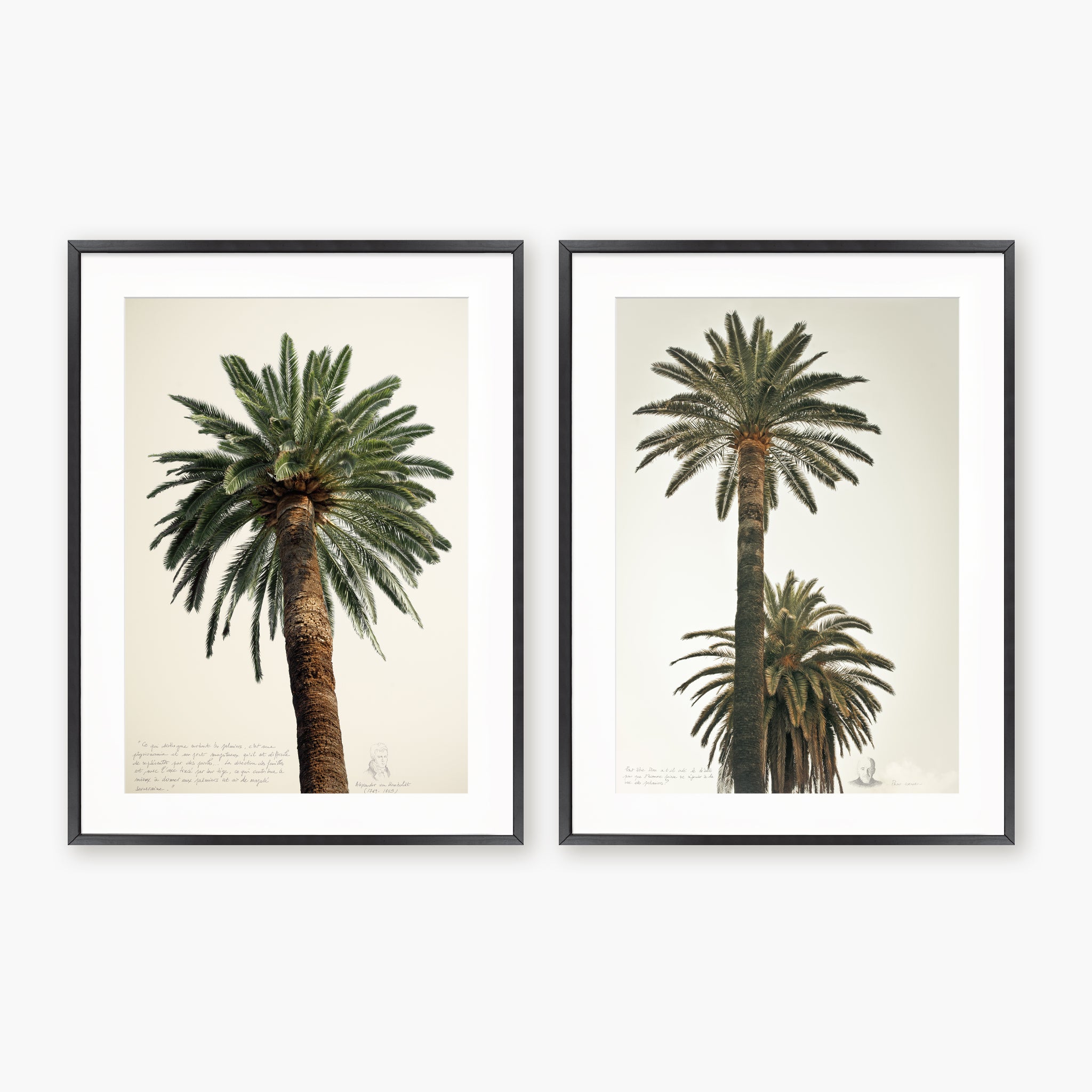Diptyque - Grands palmiers