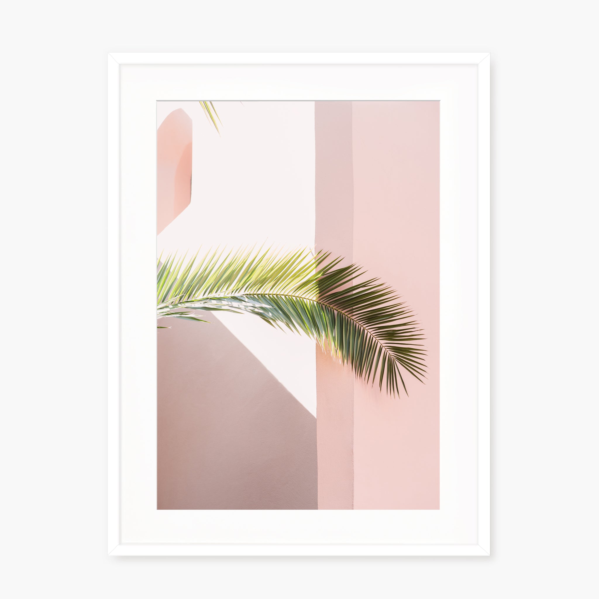 Pink palm