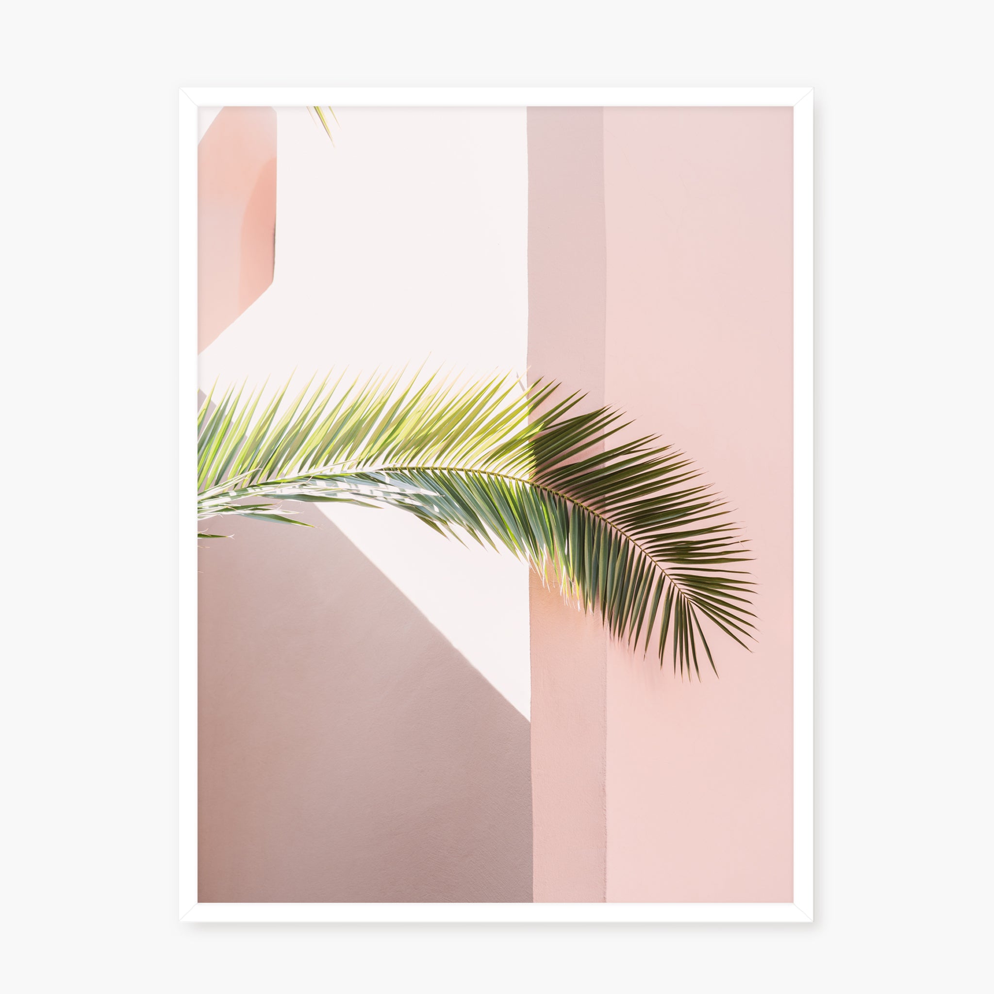 Pink palm