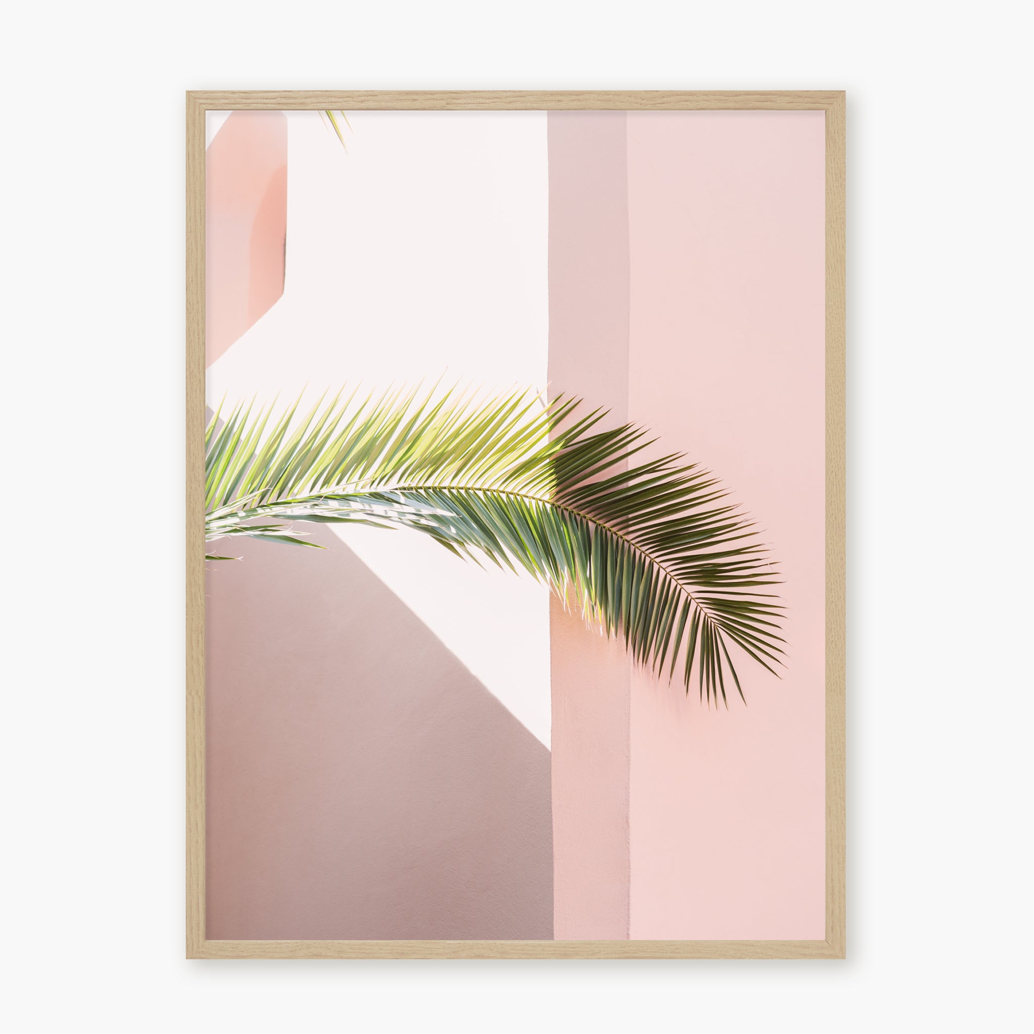 Pink palm