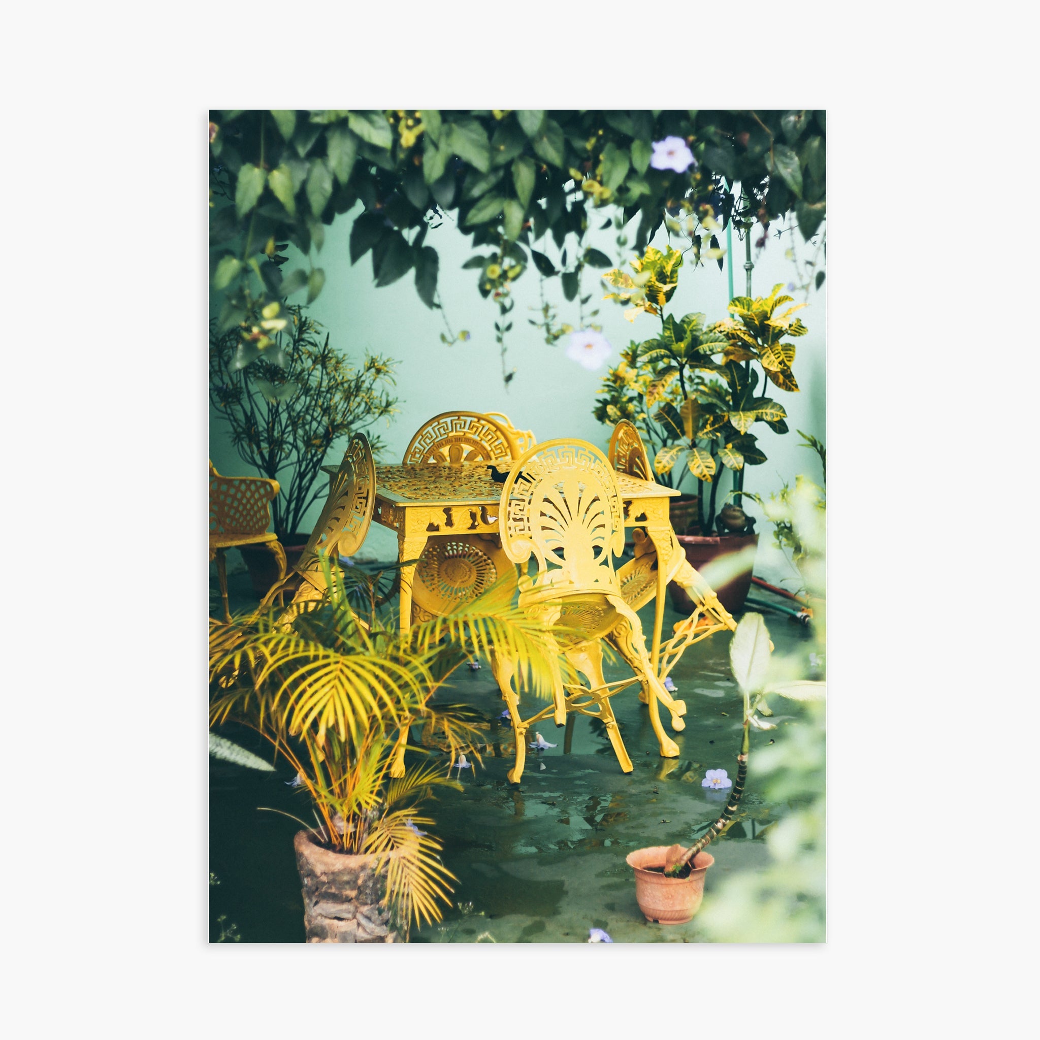 Colors of Cuba n.2