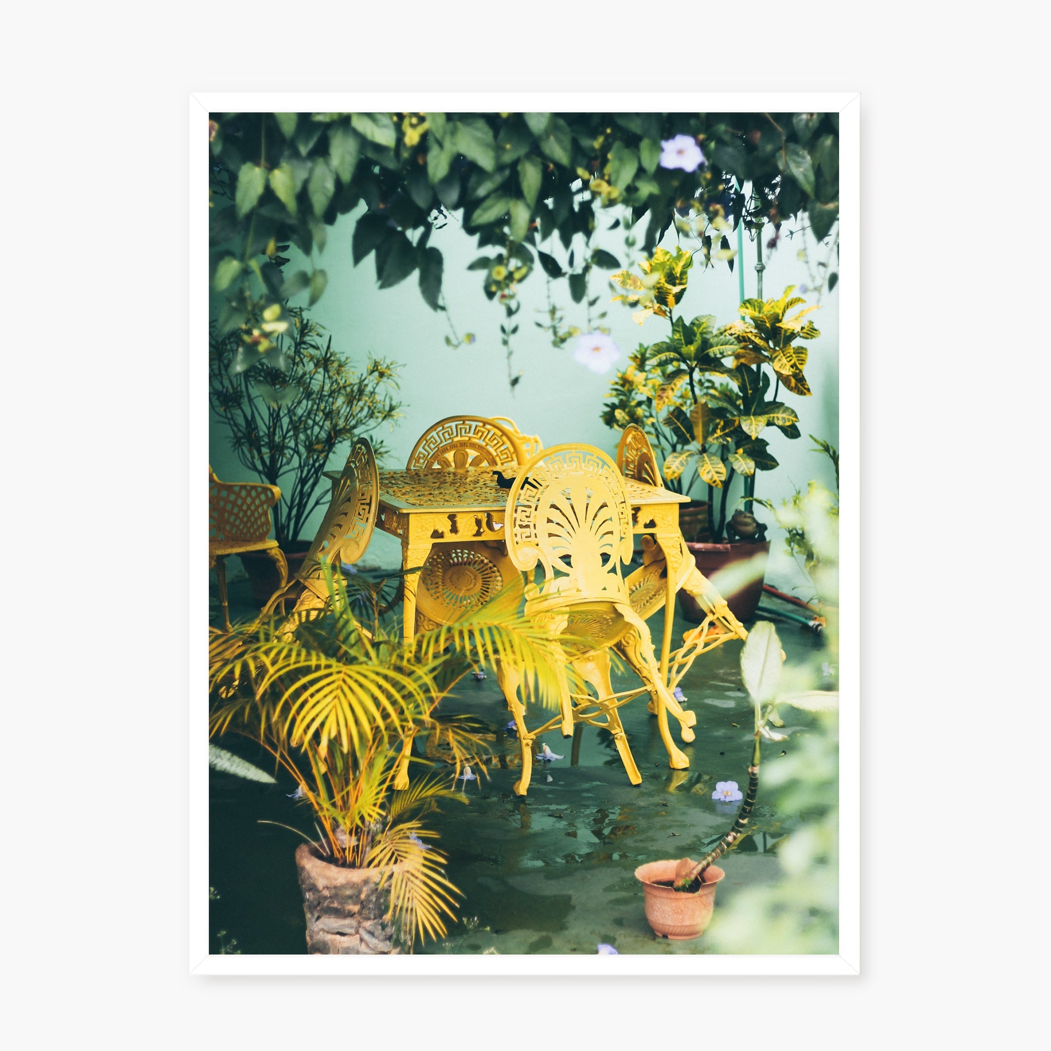 Colors of Cuba n.2