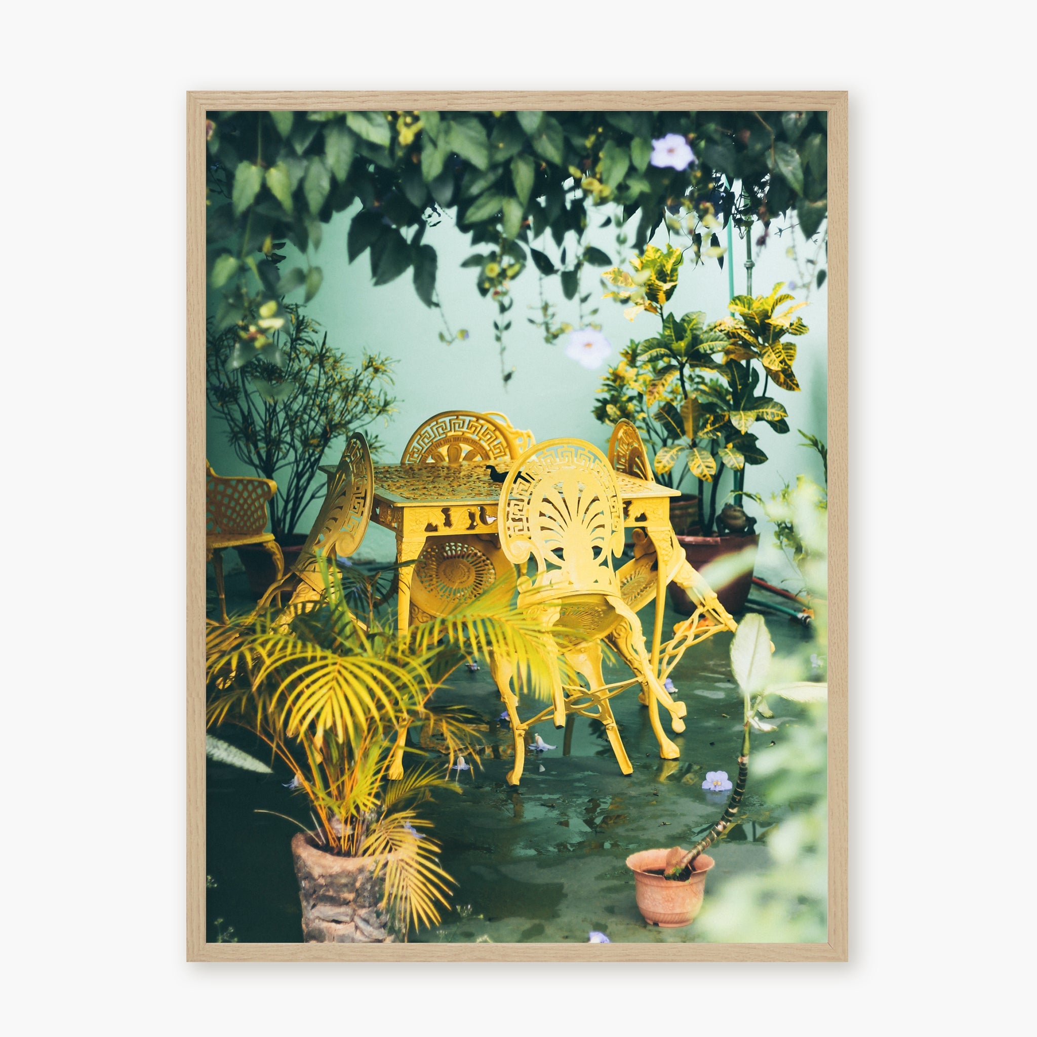 Colors of Cuba n.2