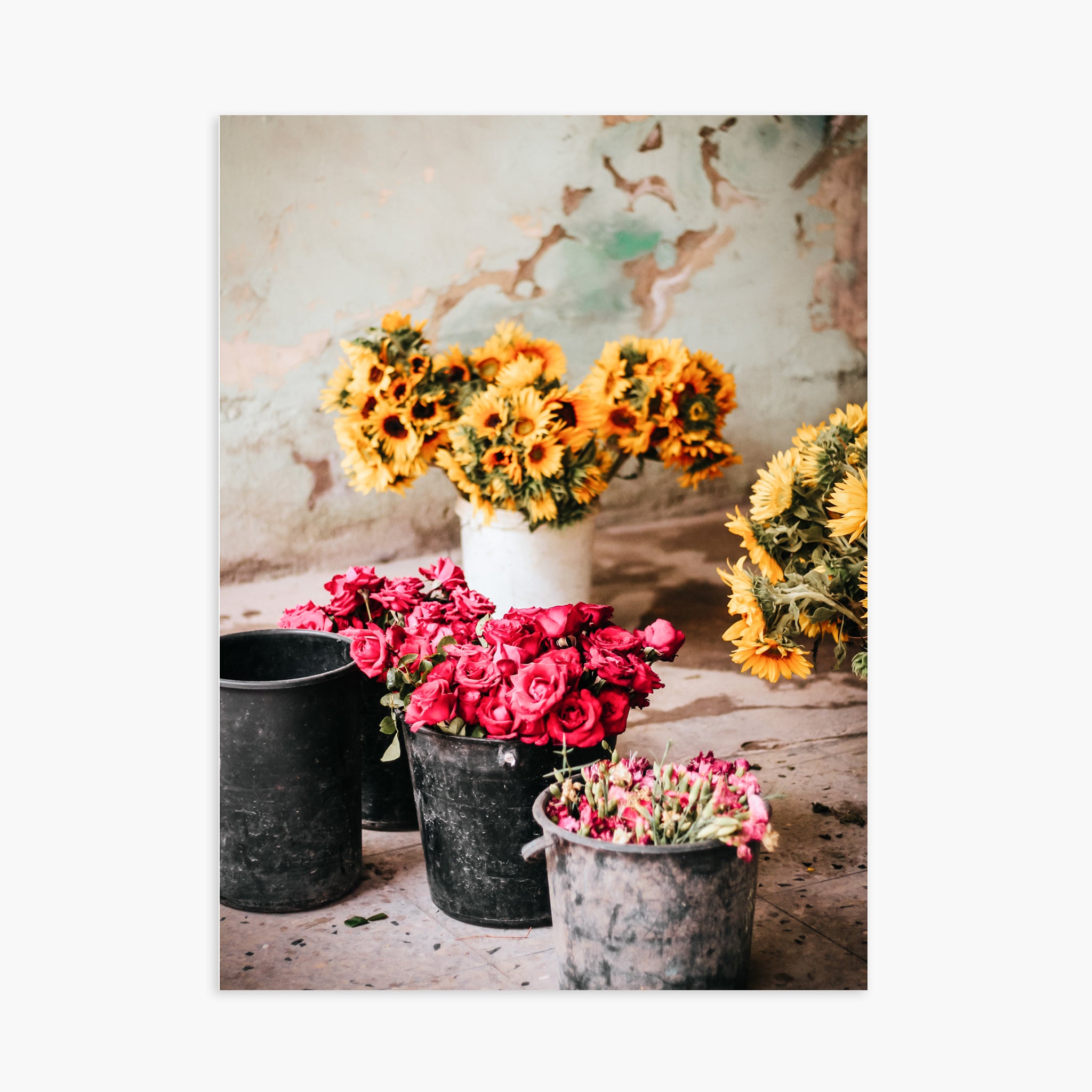 Colors of Cuba n.1
