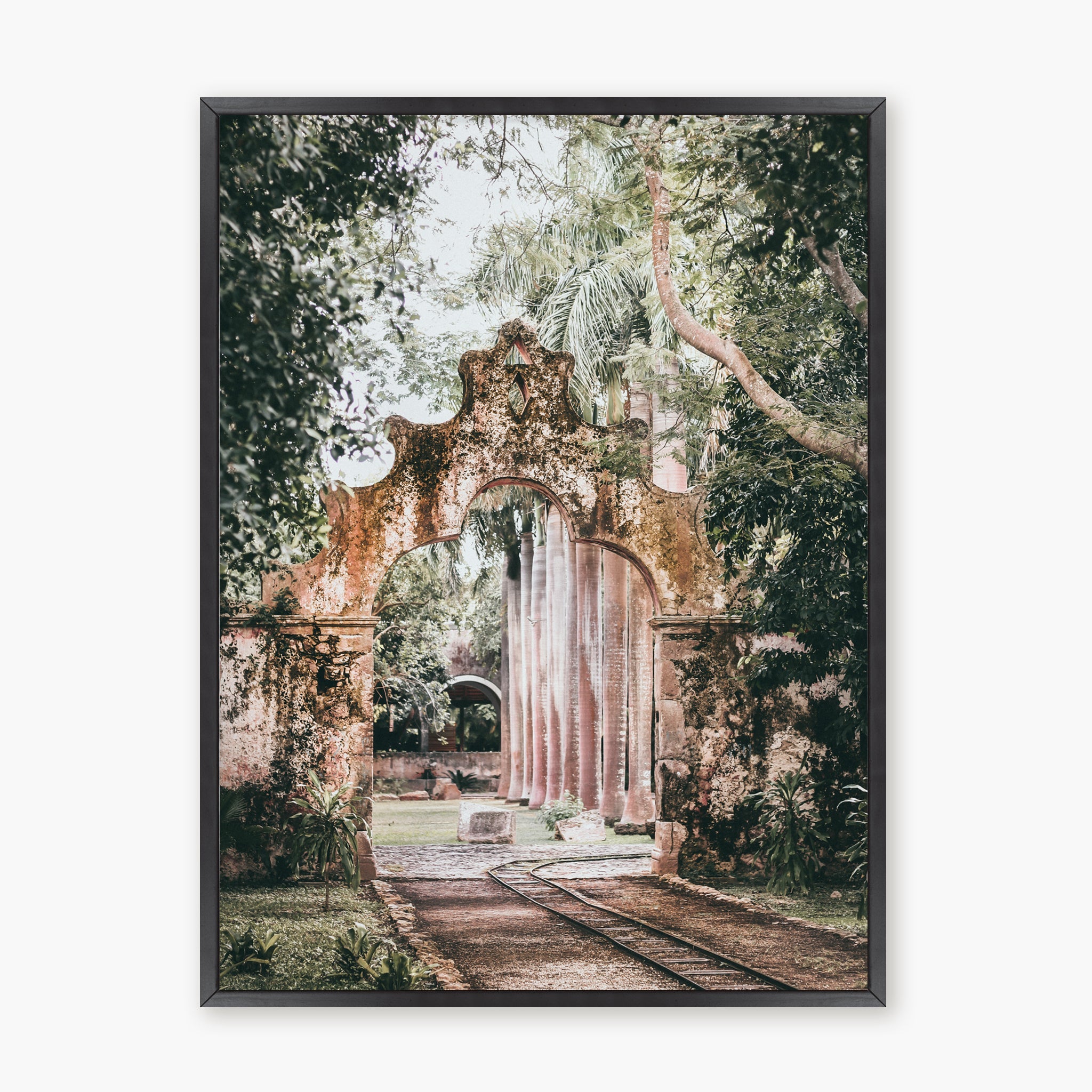 Hacienda San Pedro I