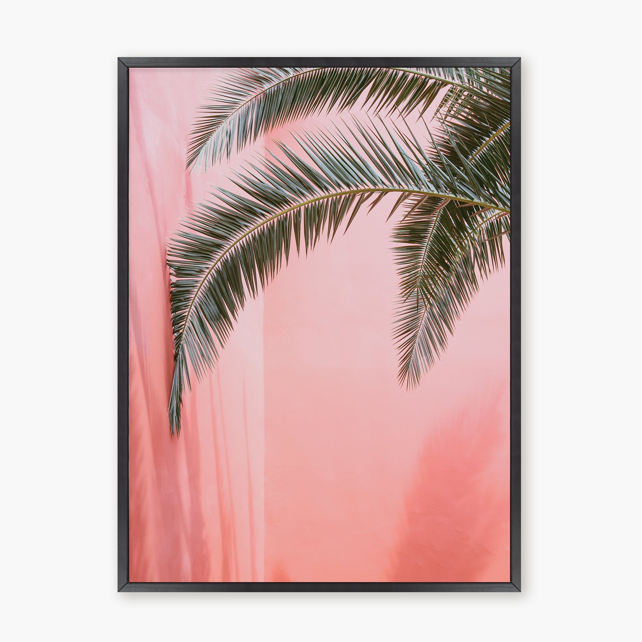 Palm on pink n.2