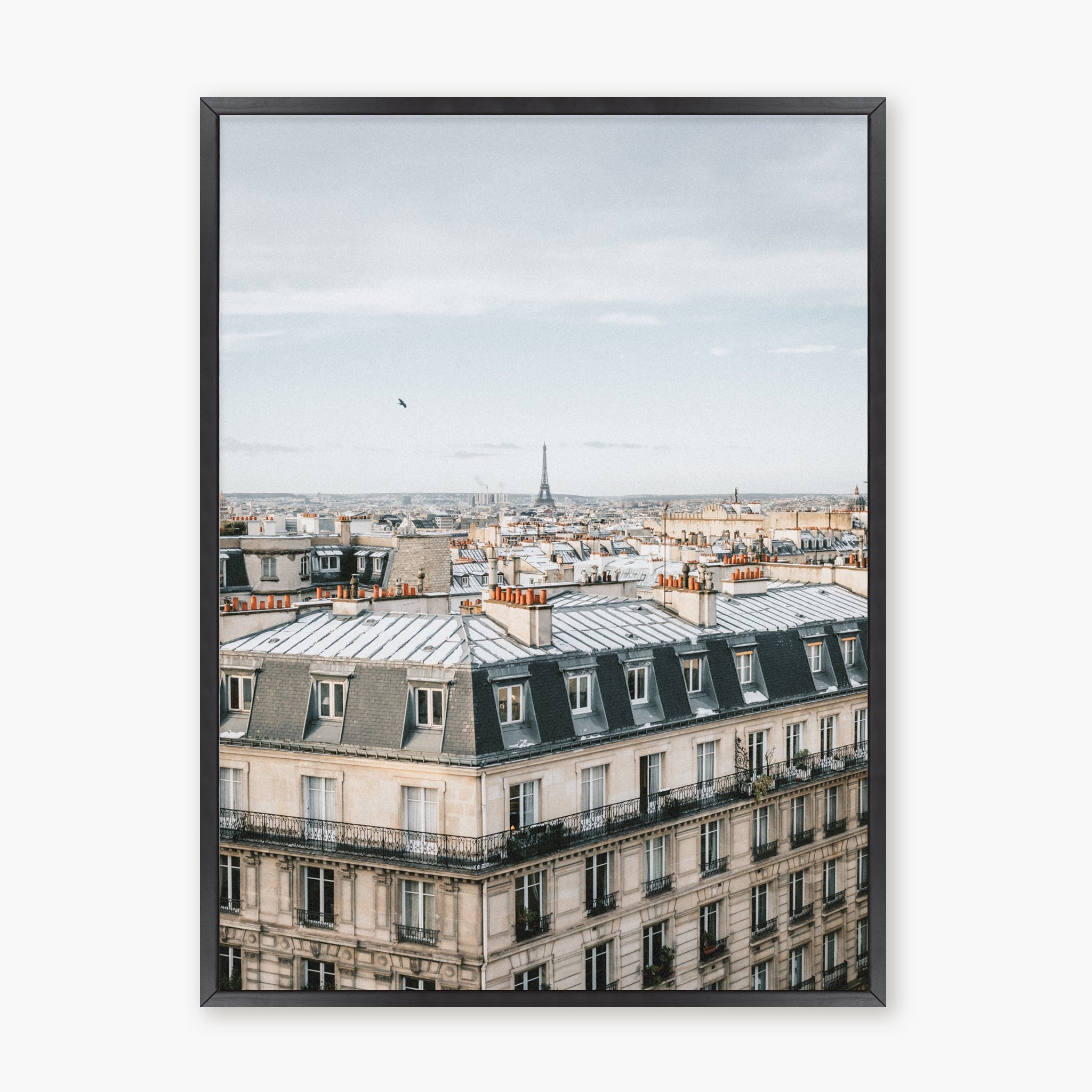 Room with a View