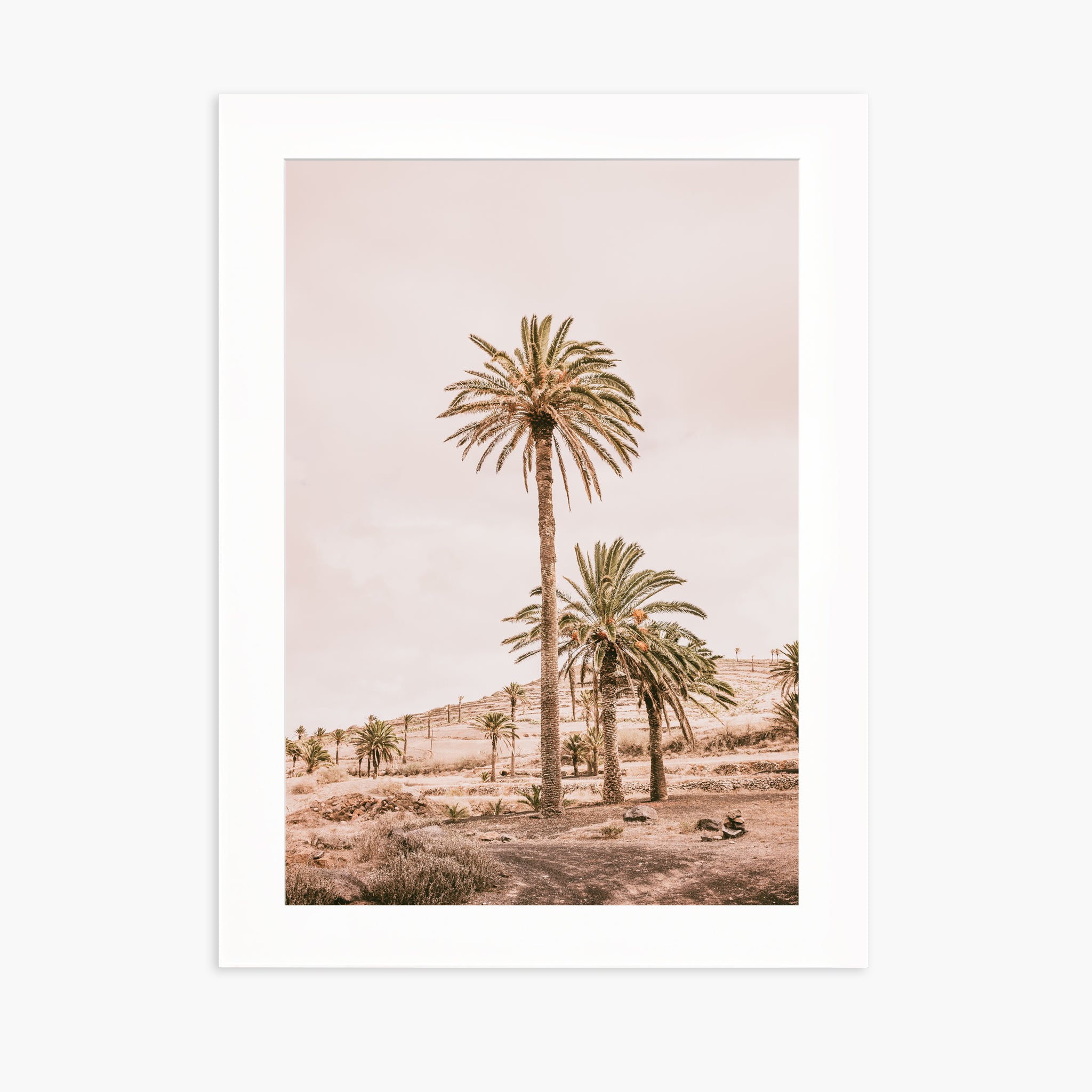 Pink Oasis