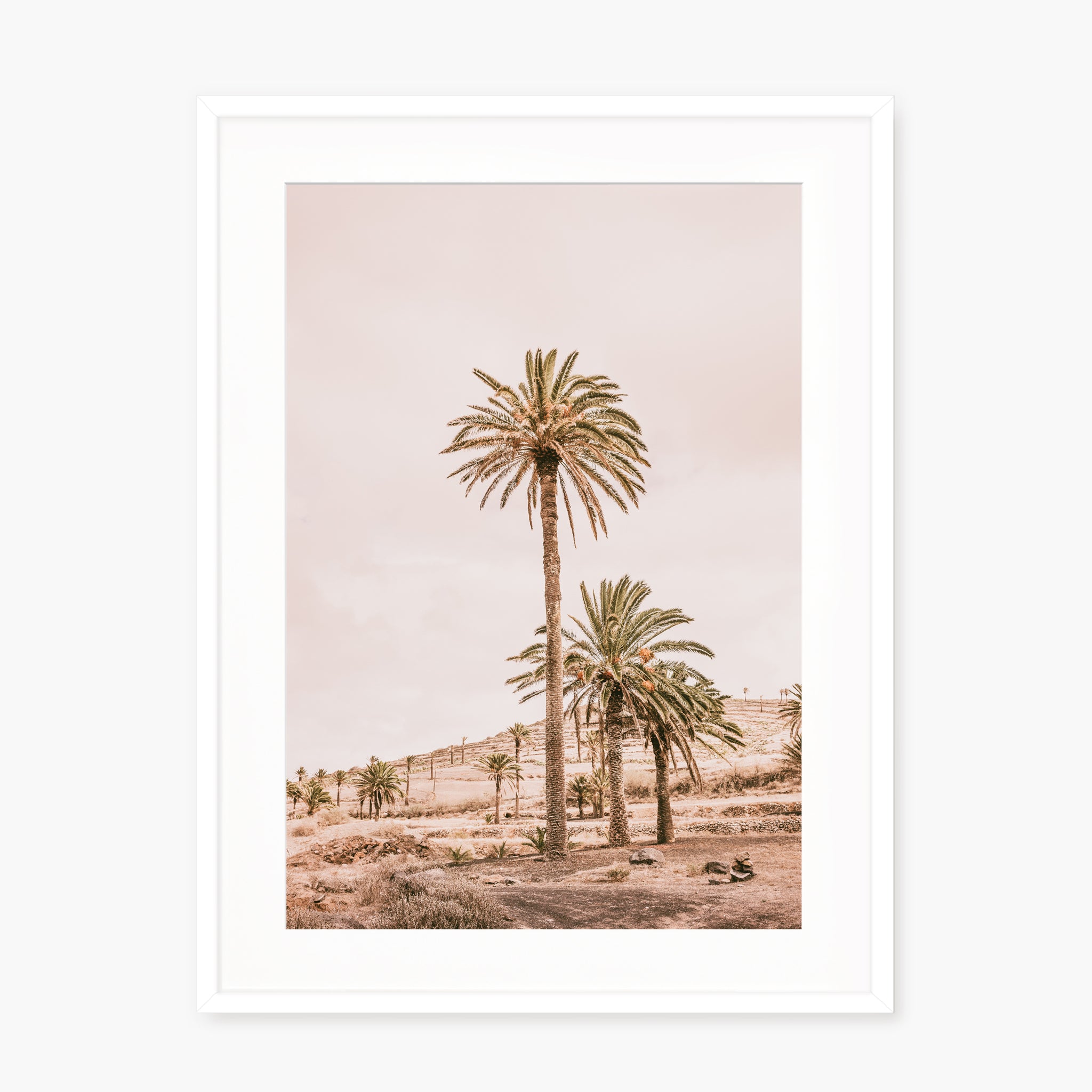 Pink Oasis