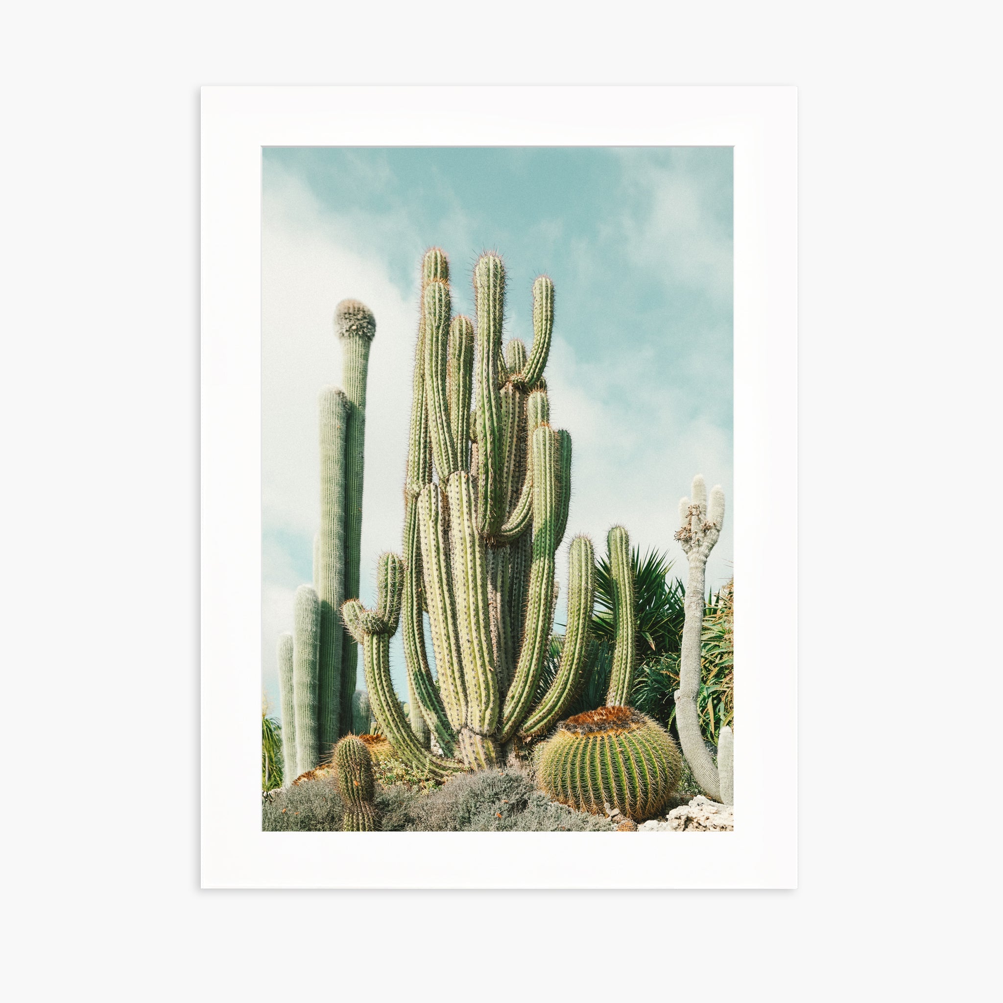 Jardin Exotique