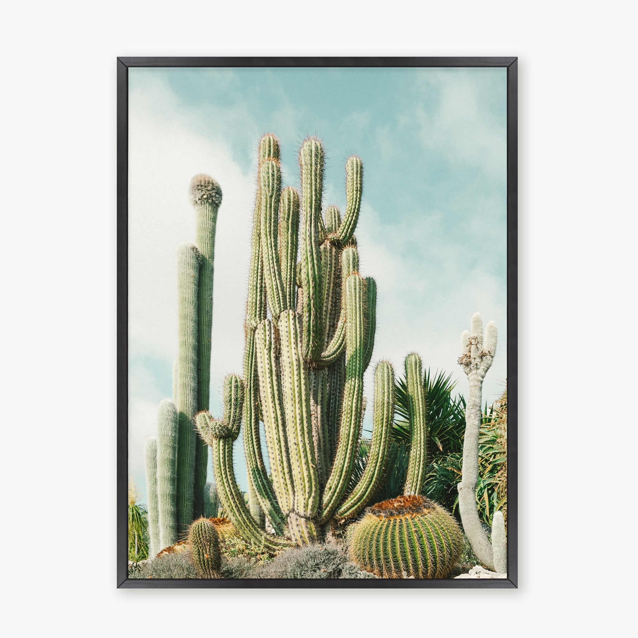 Jardin Exotique