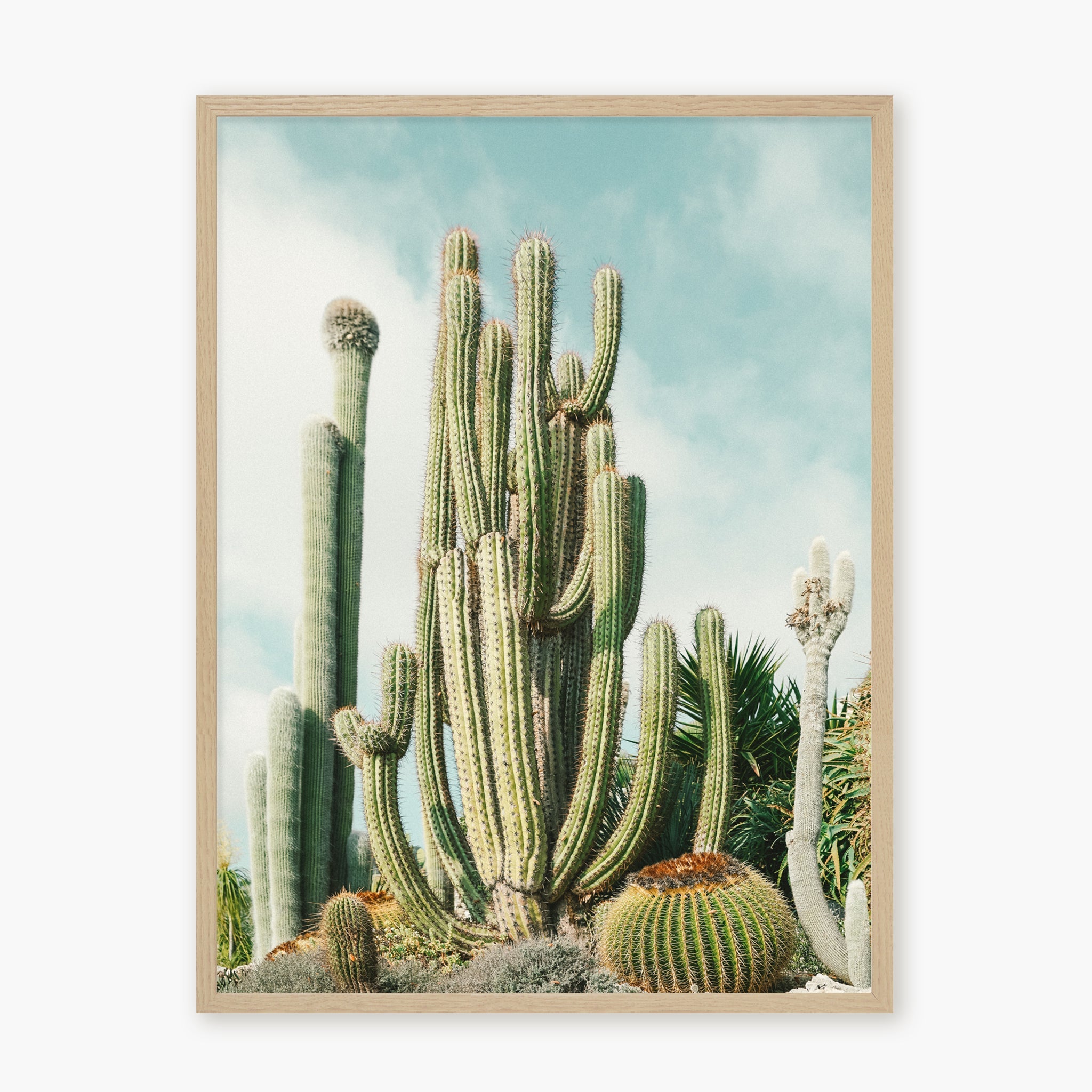 Jardin Exotique