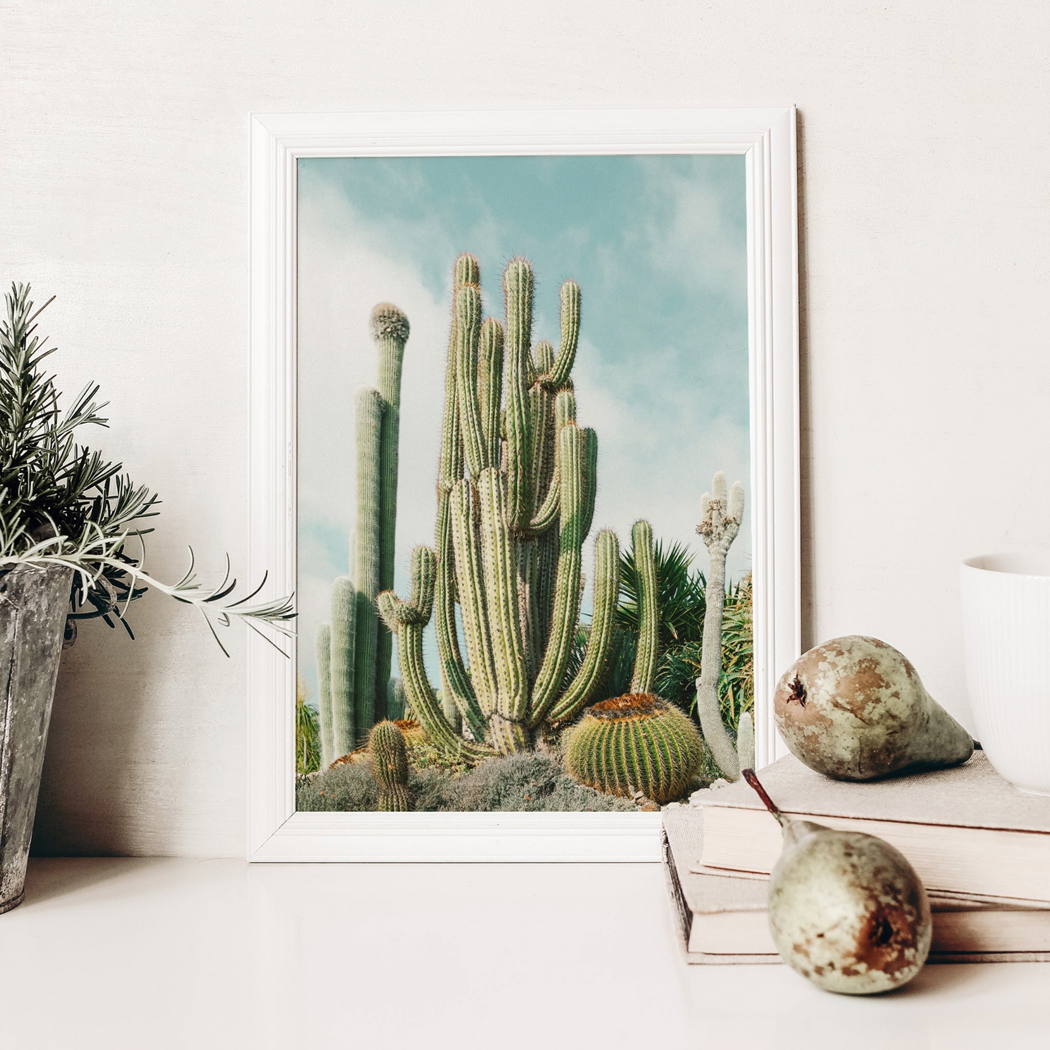 Jardin Exotique