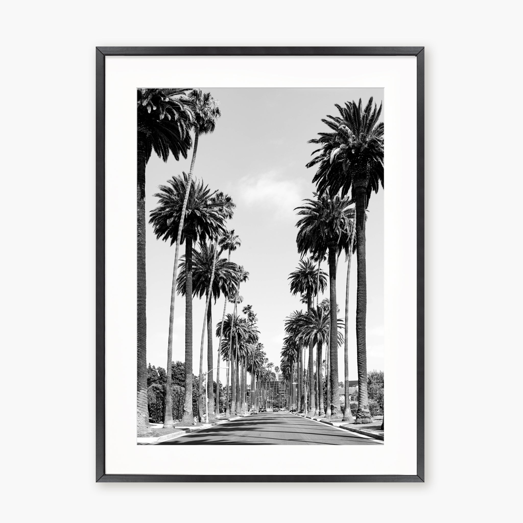 Palms of Beverly Hills