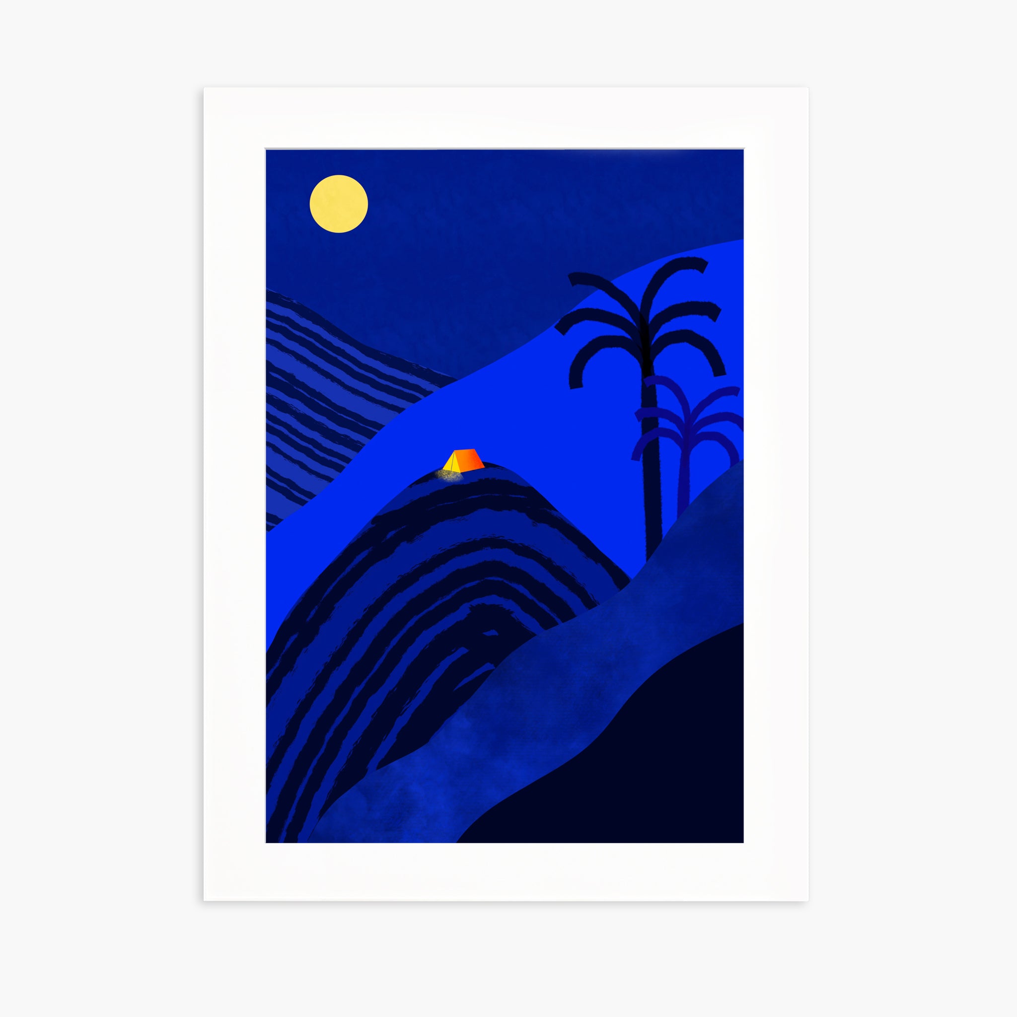 Dodo by night