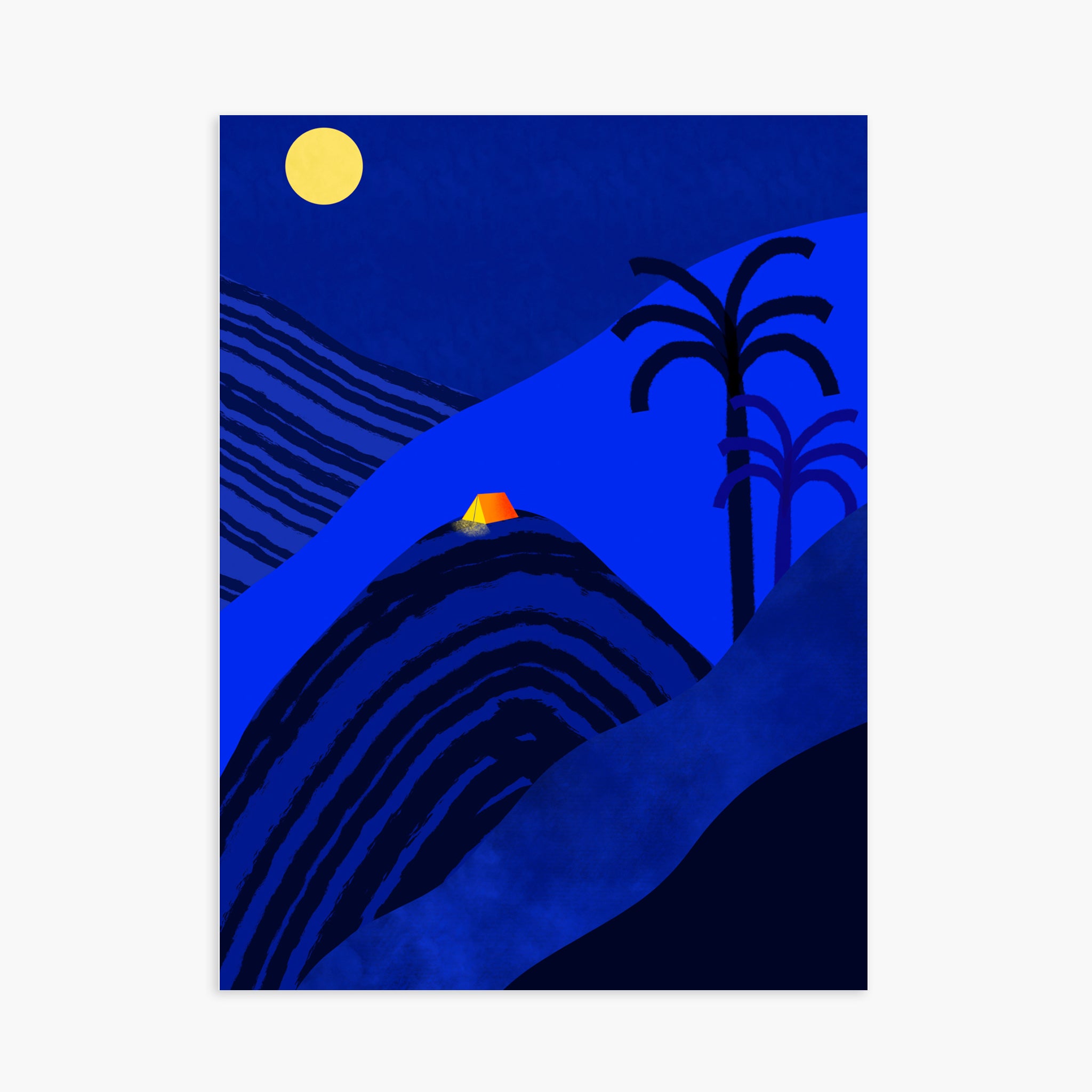 Dodo by night