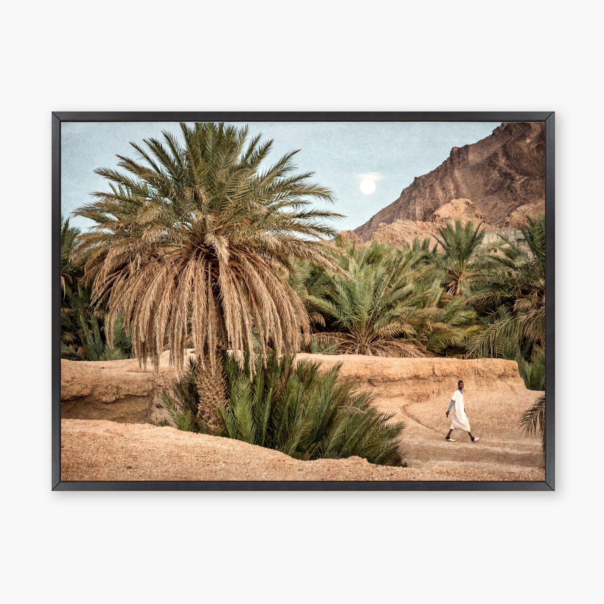 Moroccan Oasis