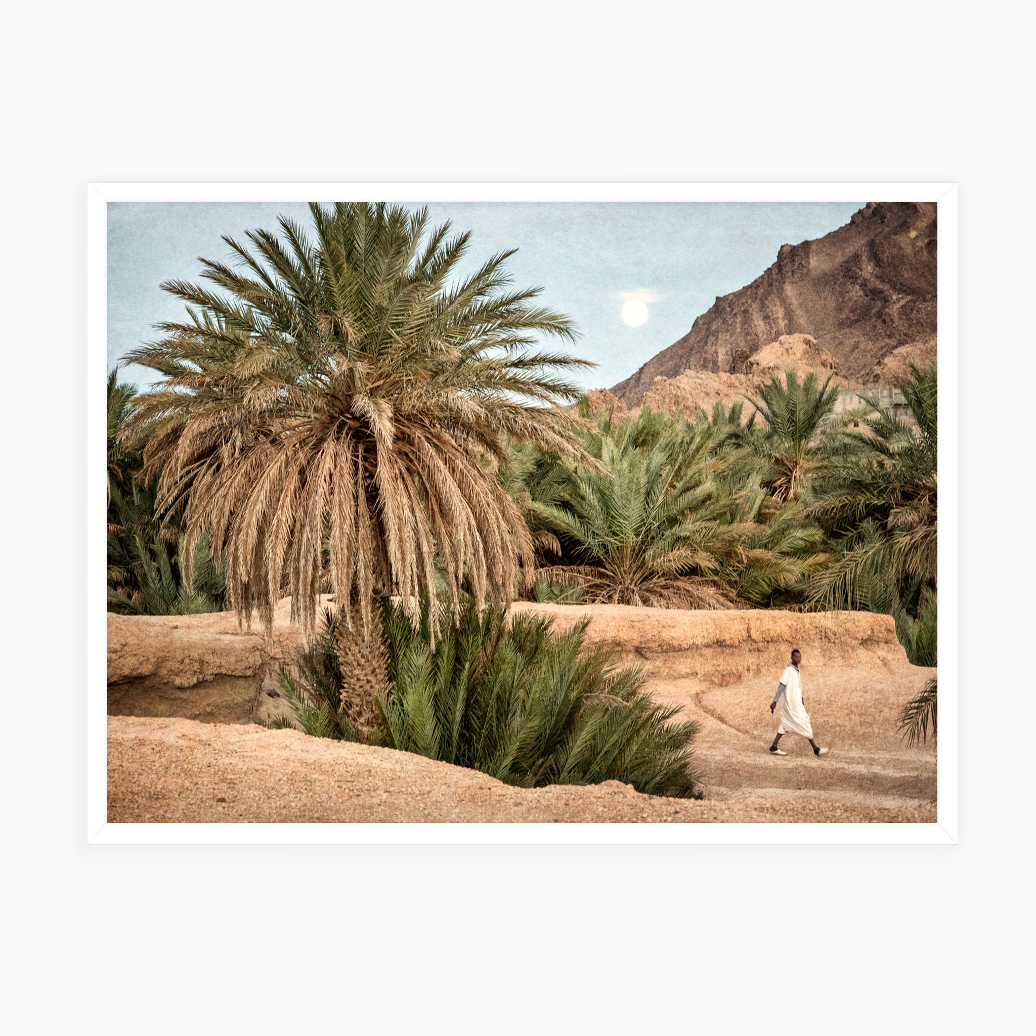 Moroccan Oasis