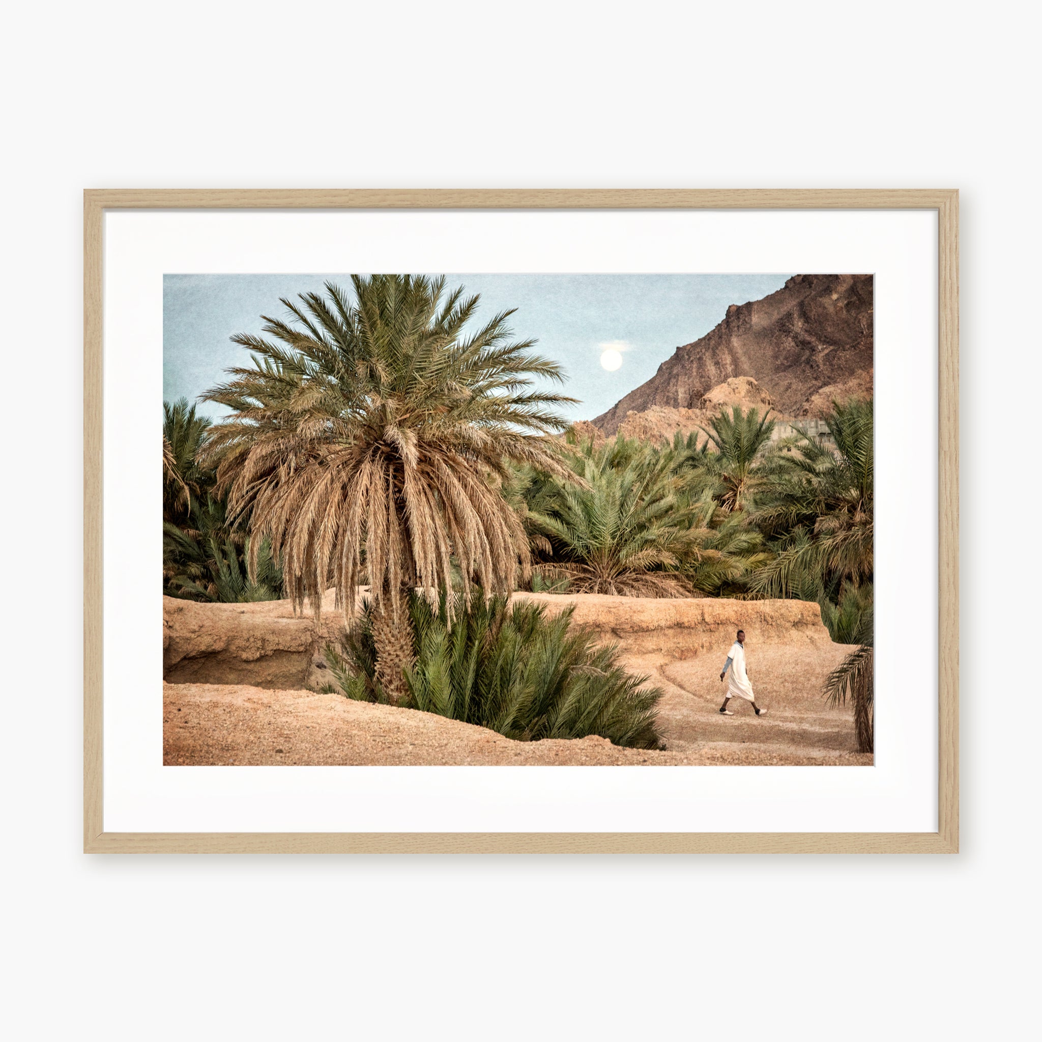 Moroccan Oasis