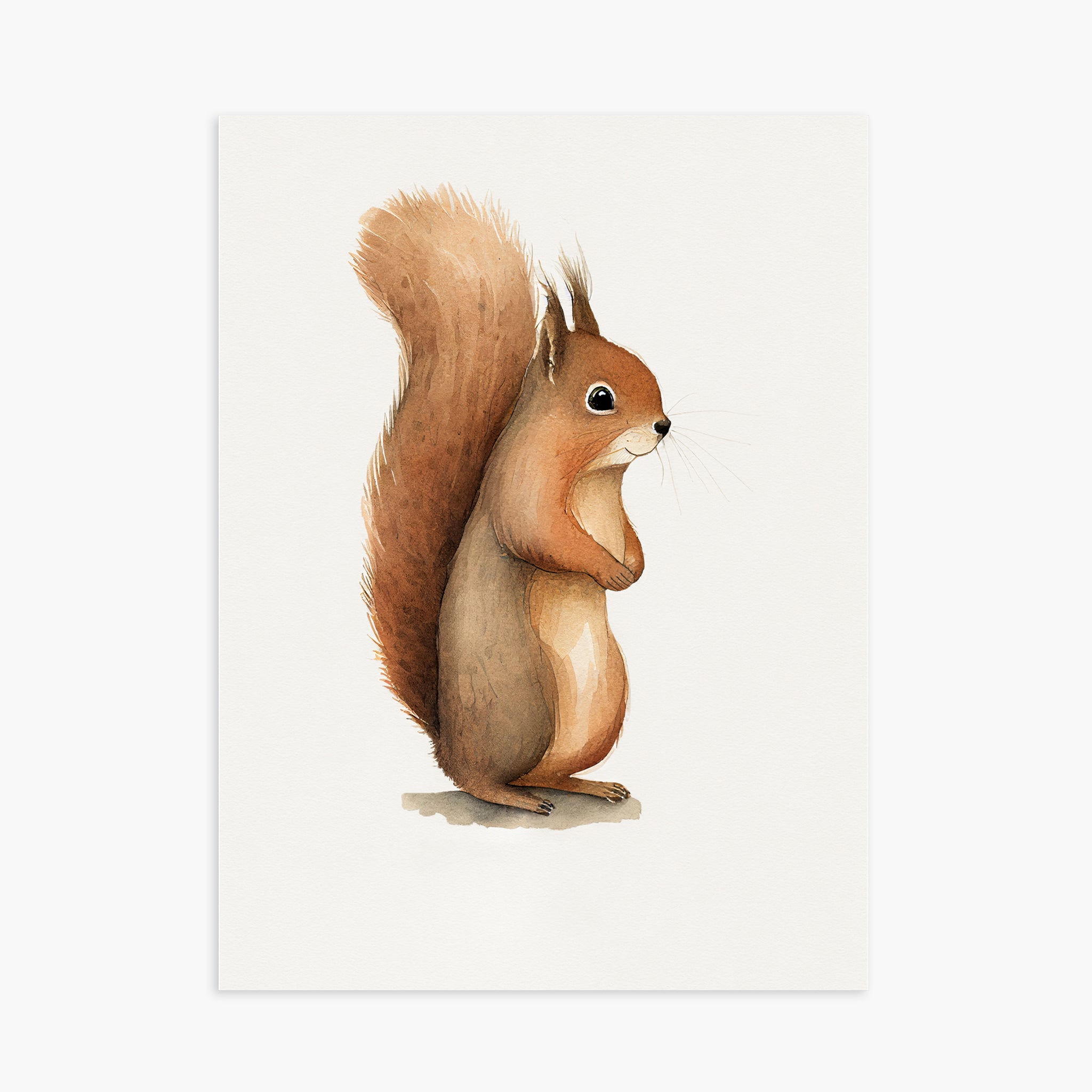 Baby Squirrel