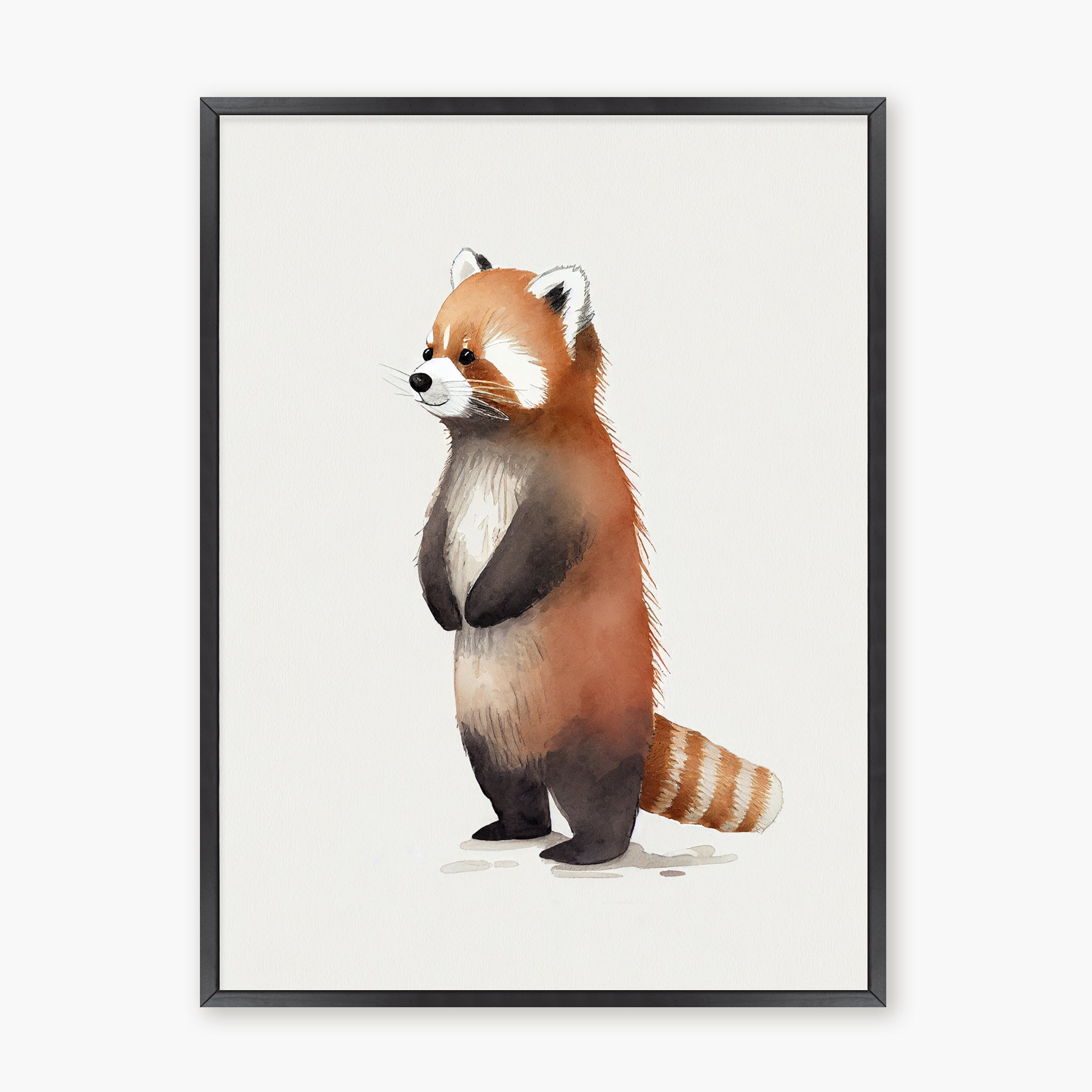 Baby Red Panda