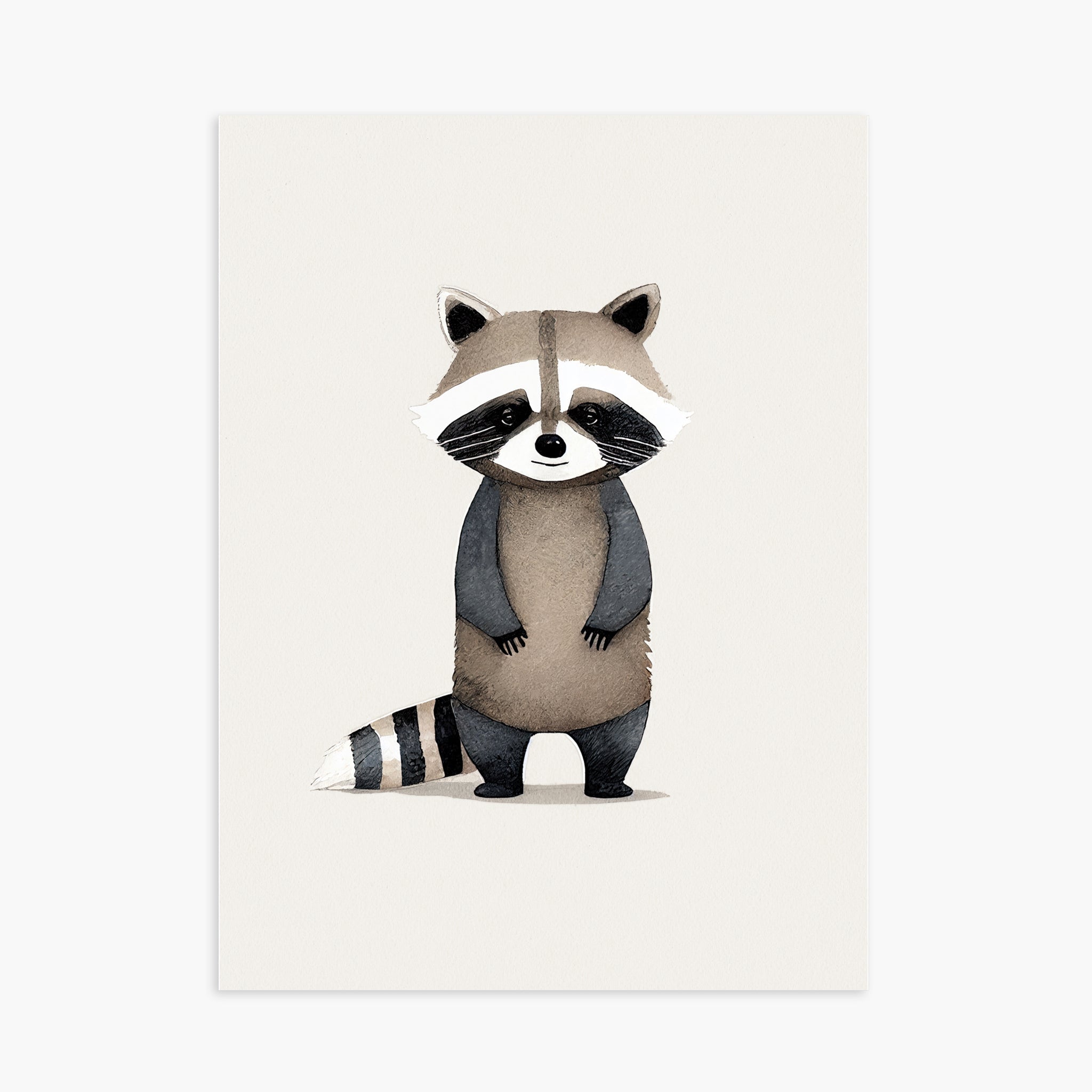 Baby Raccoon
