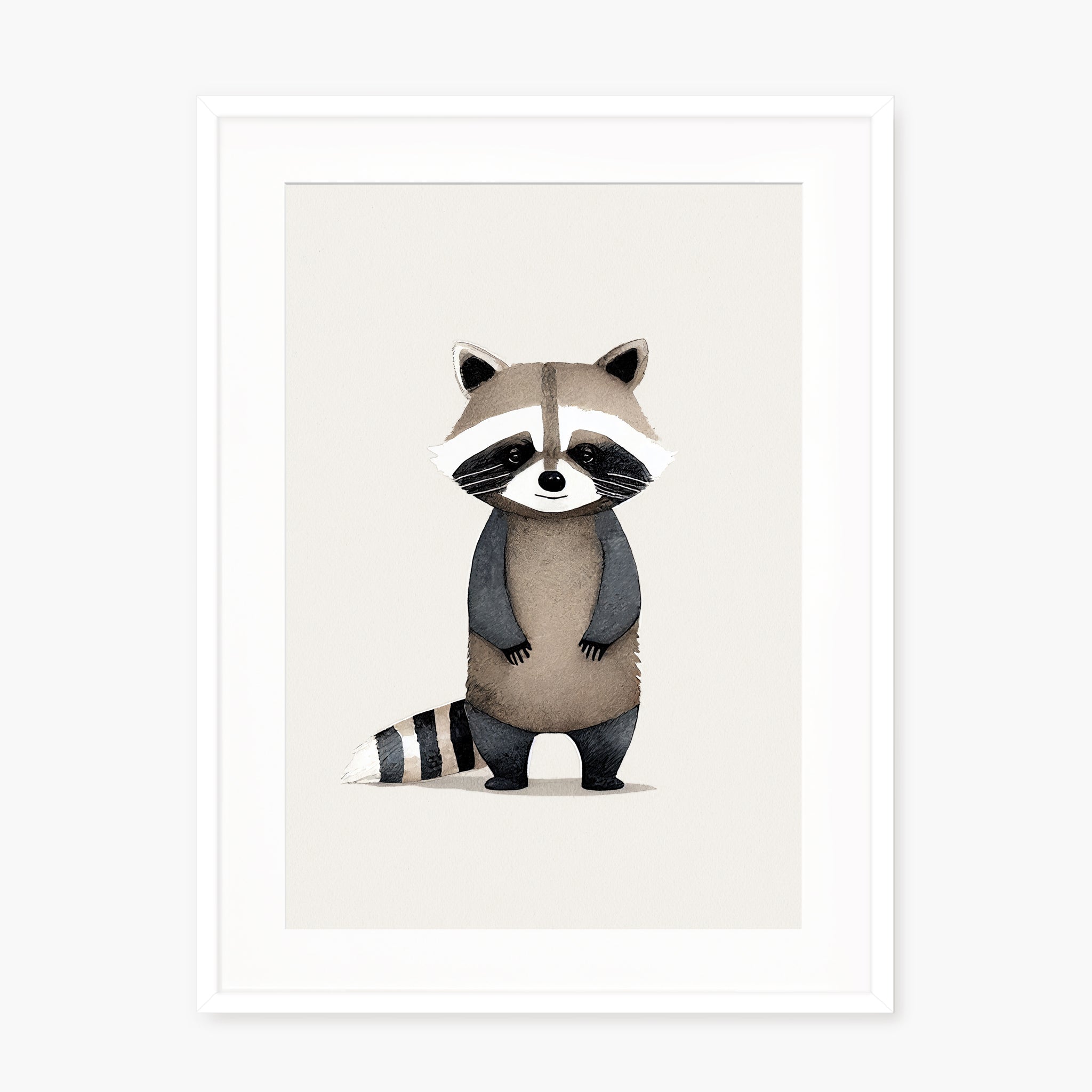 Baby Raccoon