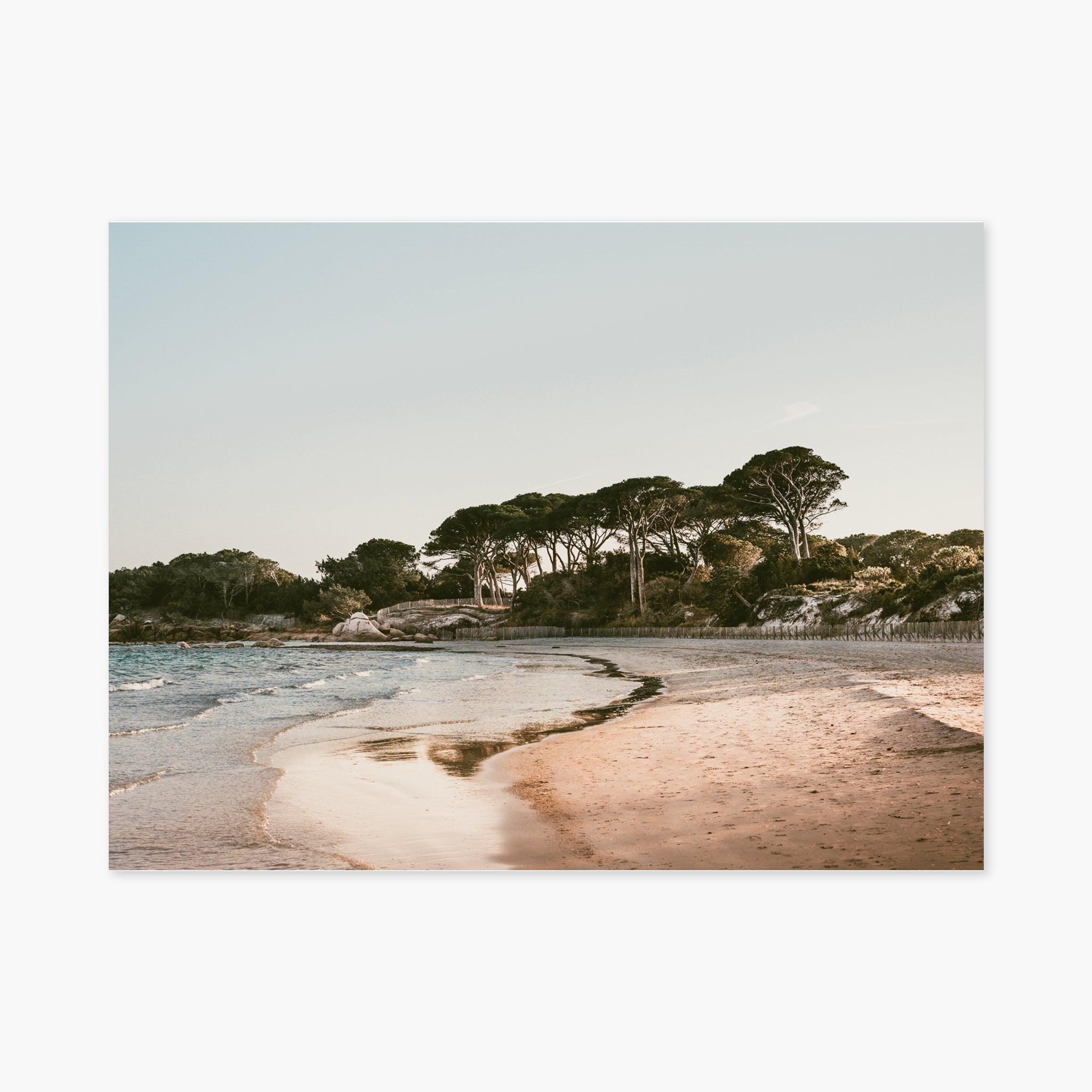Palombaggia beach