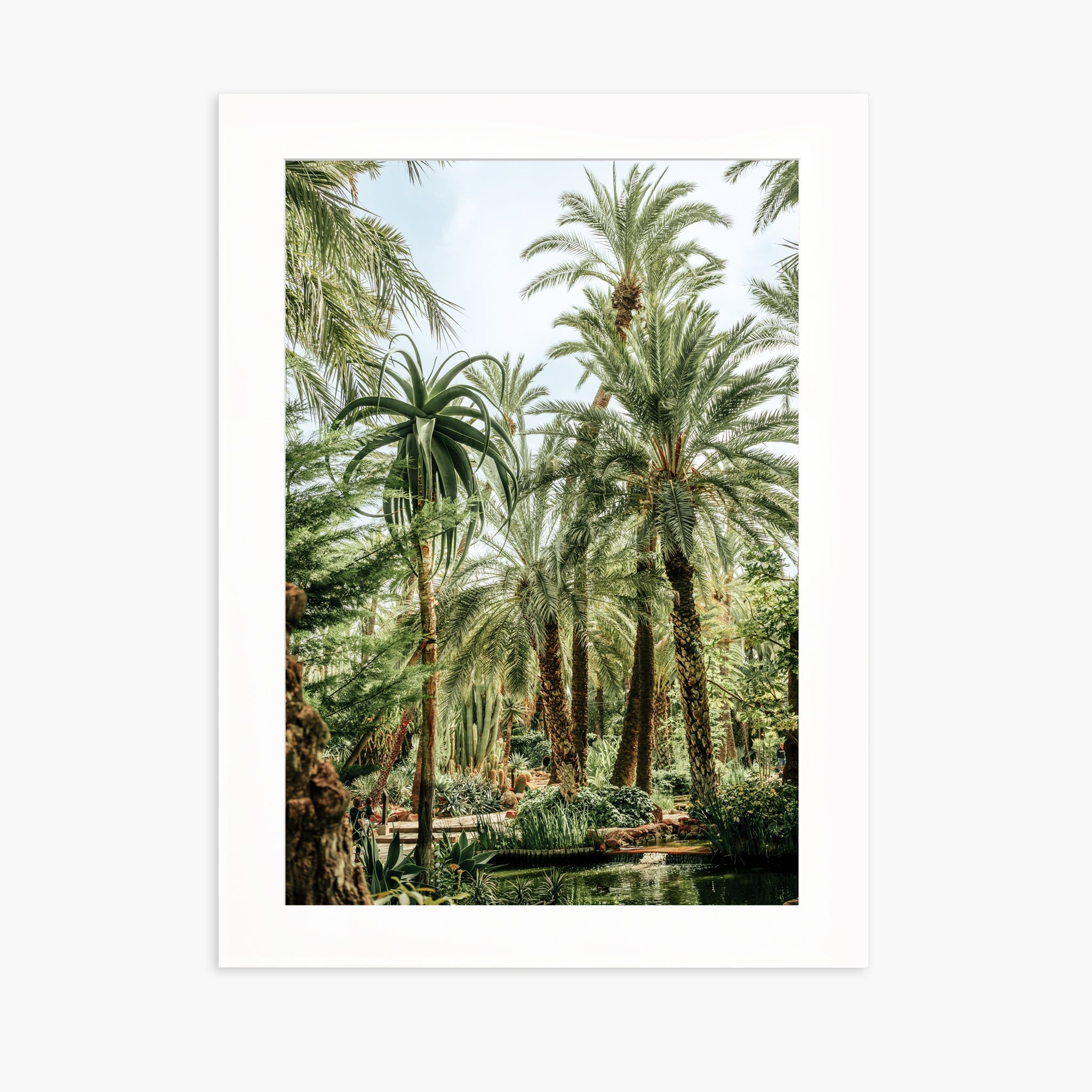 Elche Jungle