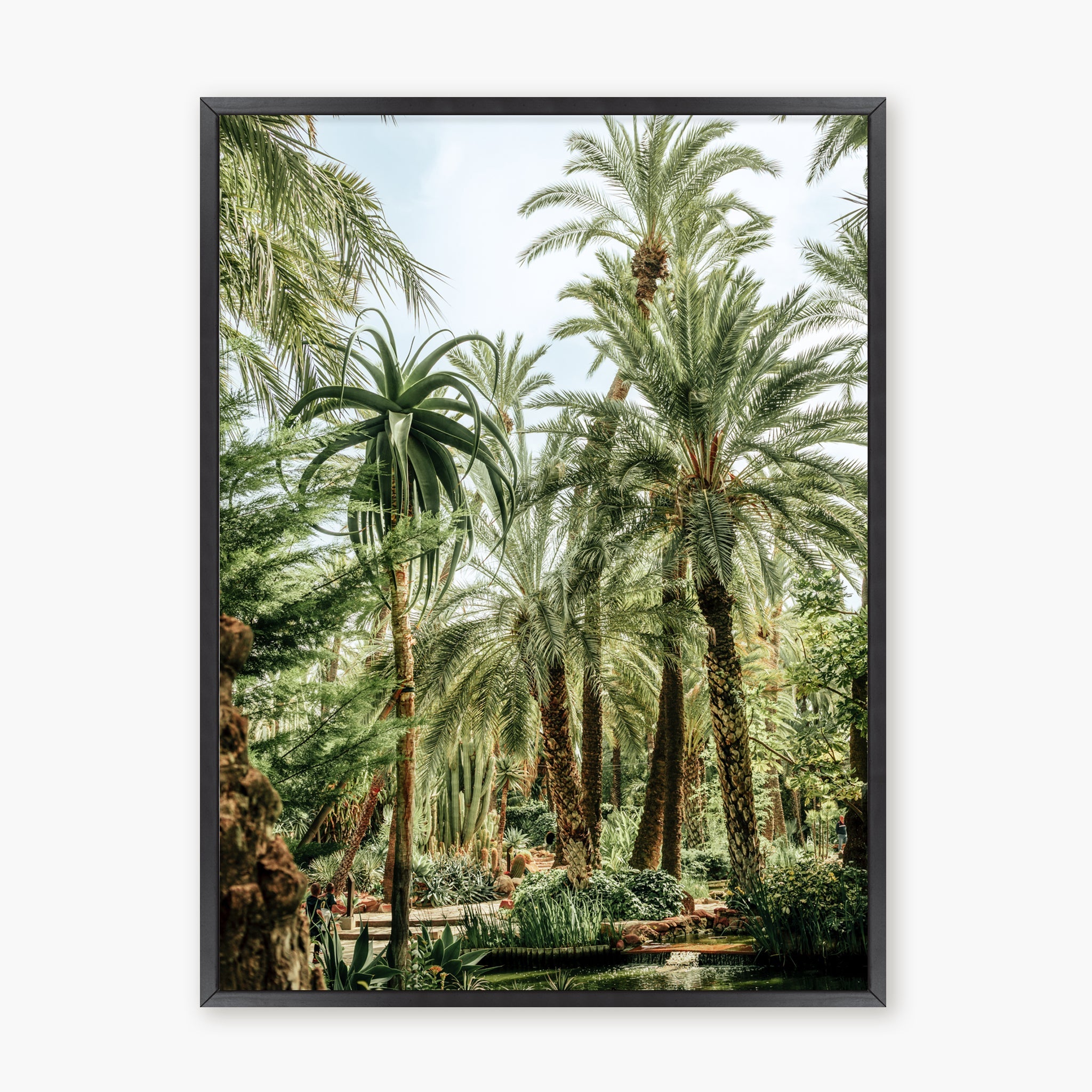 Elche Jungle