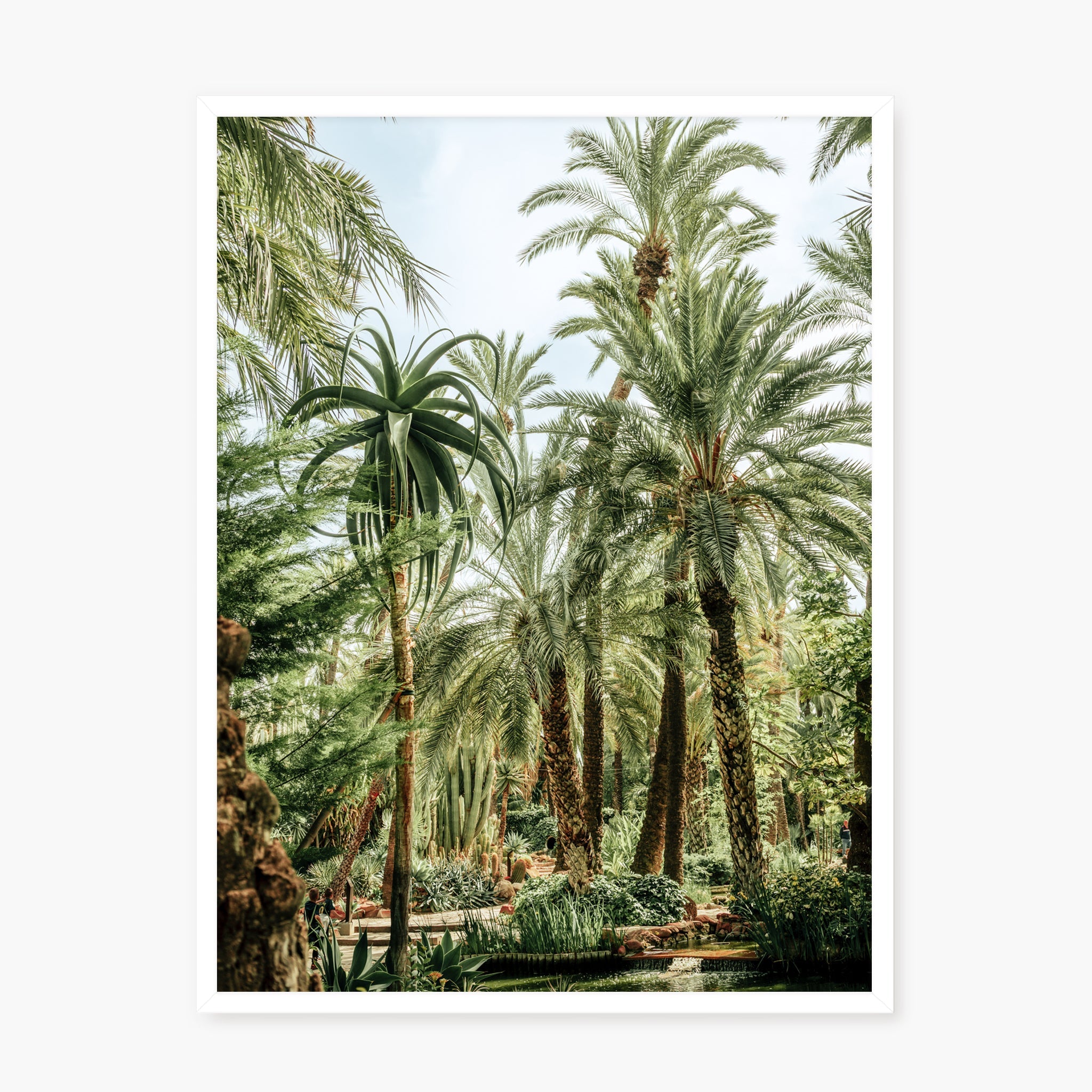 Elche Jungle