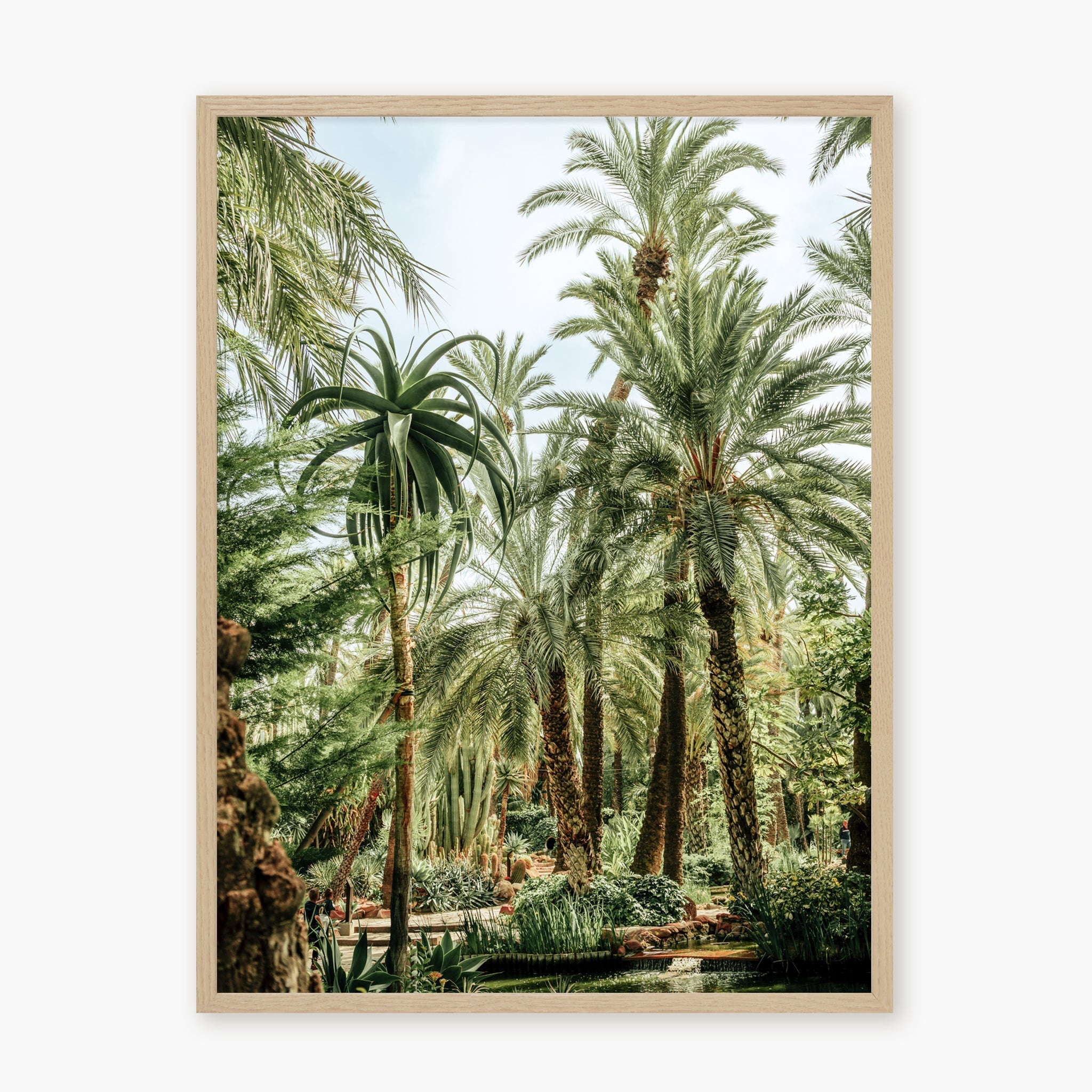 Elche Jungle