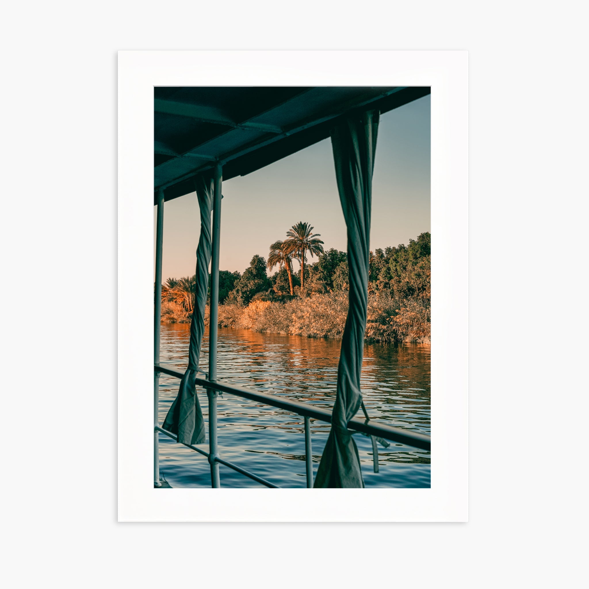 Nile Palms