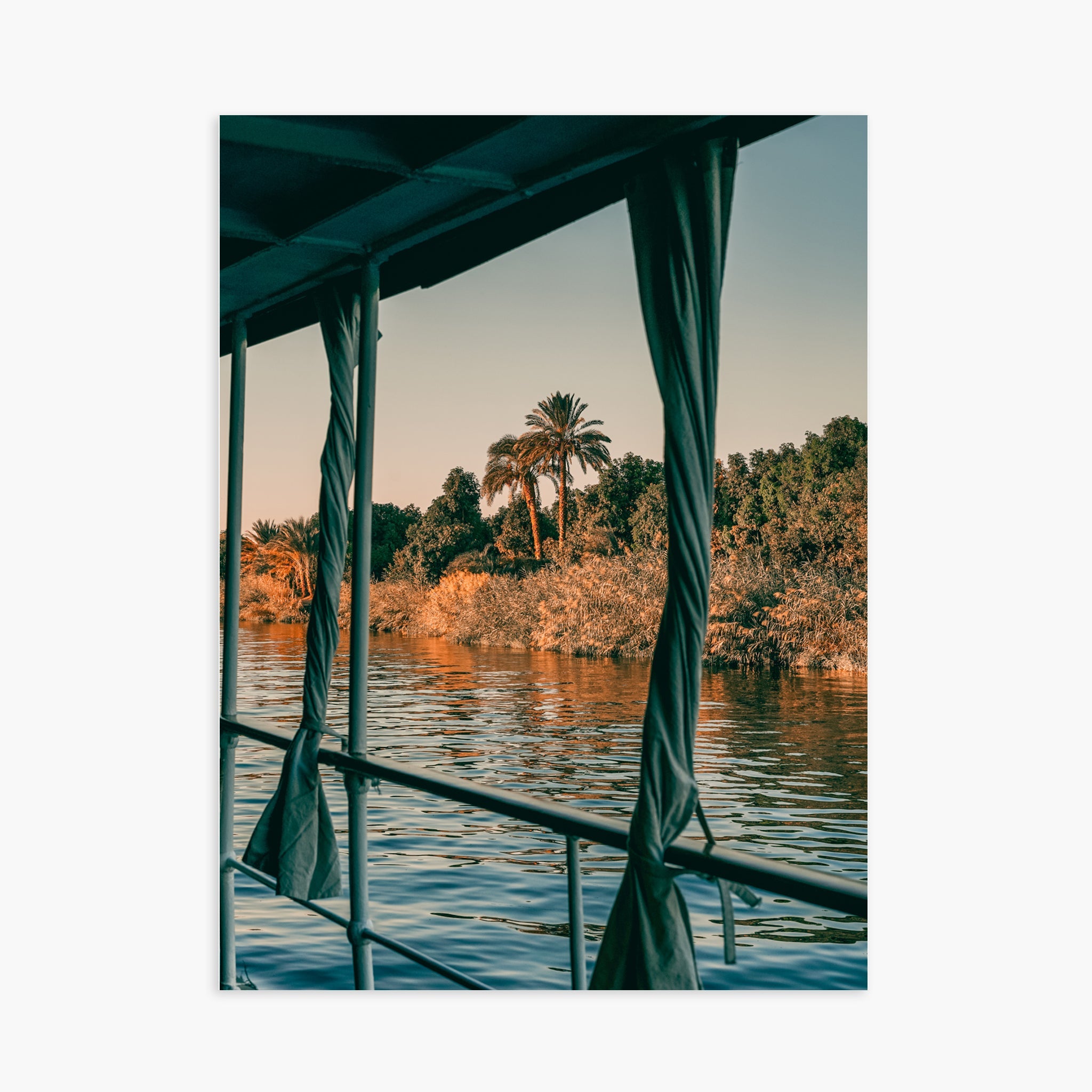 Nile Palms