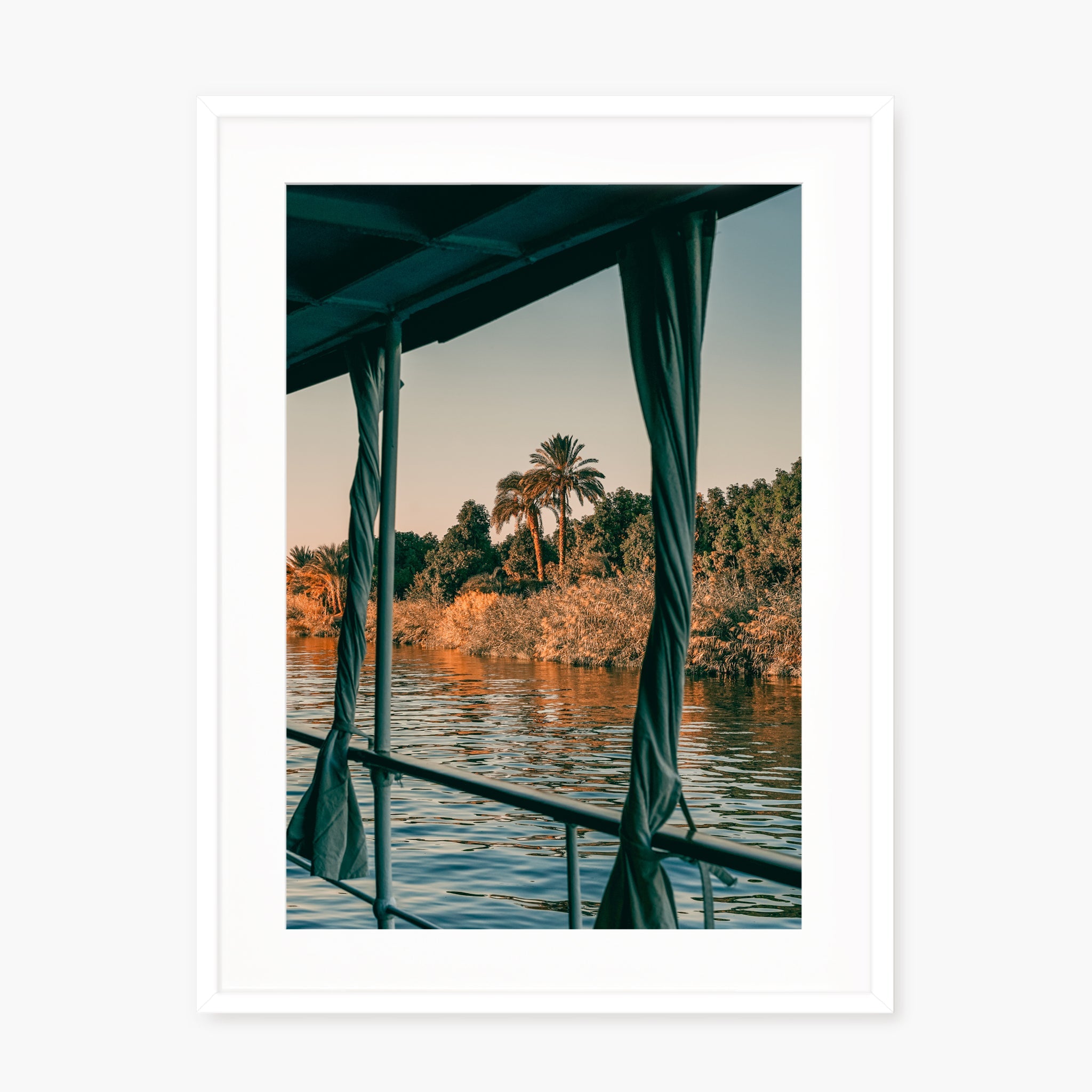Nile Palms