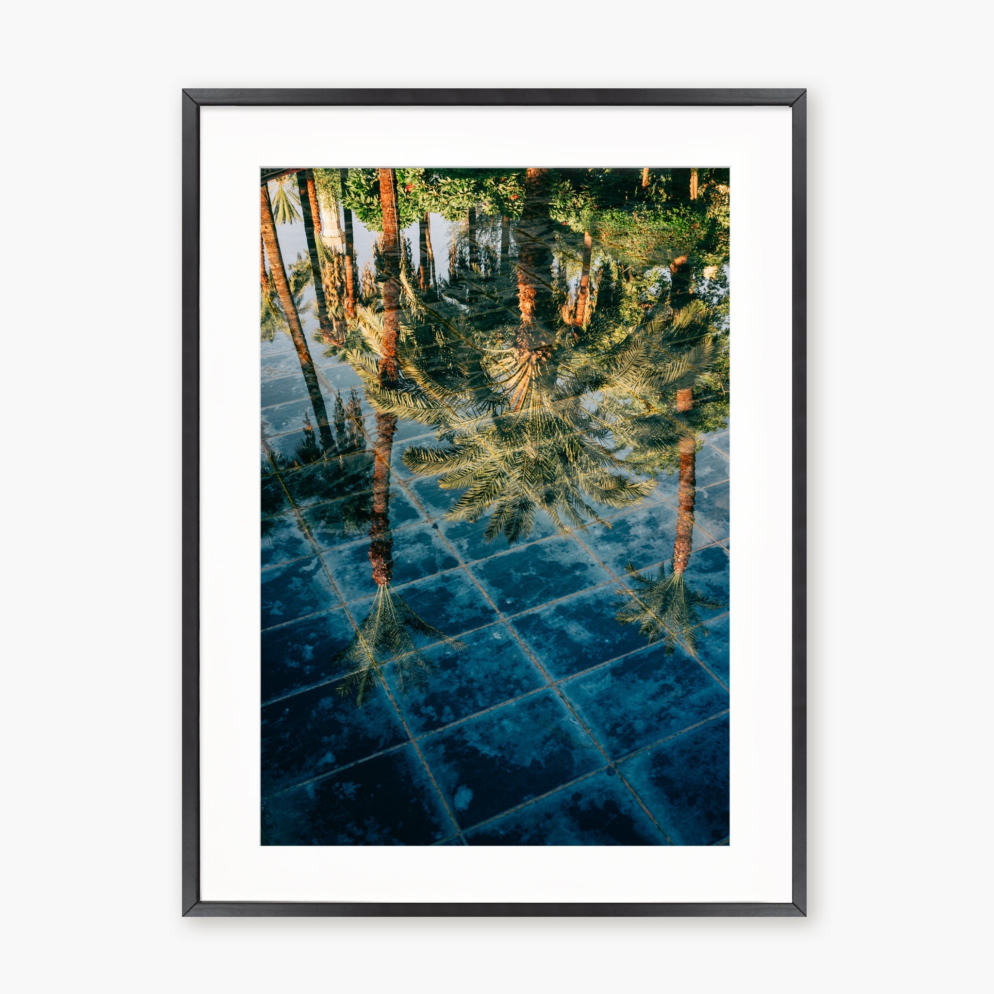 The Pool of the Winter Palace