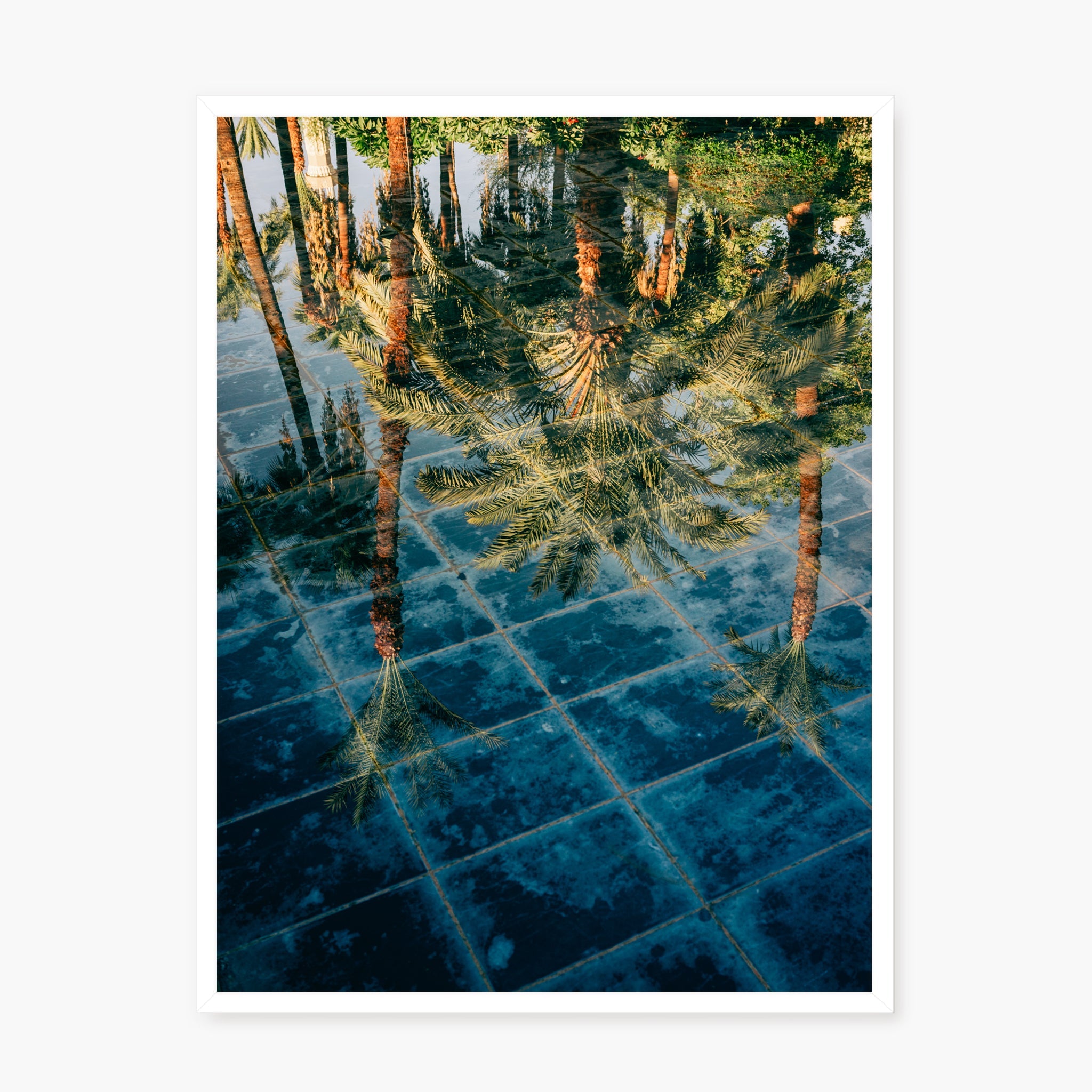 The Pool of the Winter Palace
