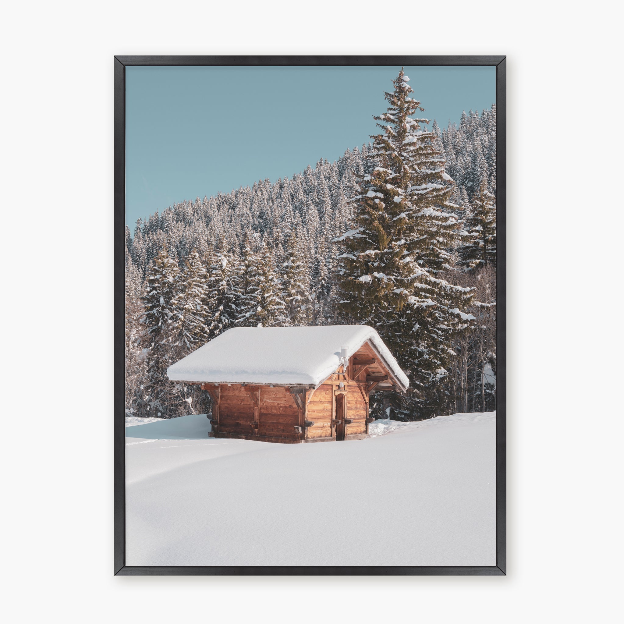 White Paradise