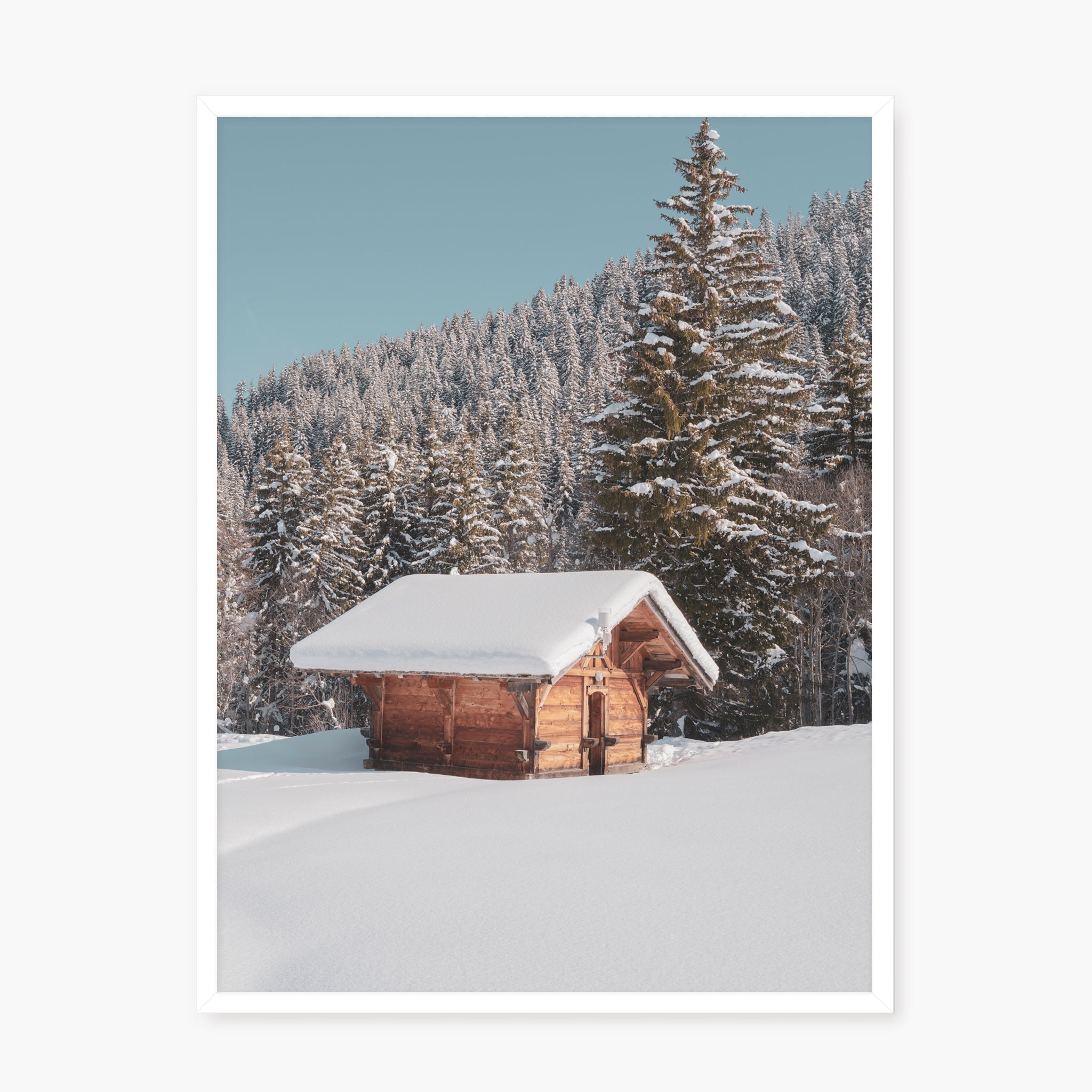 White Paradise