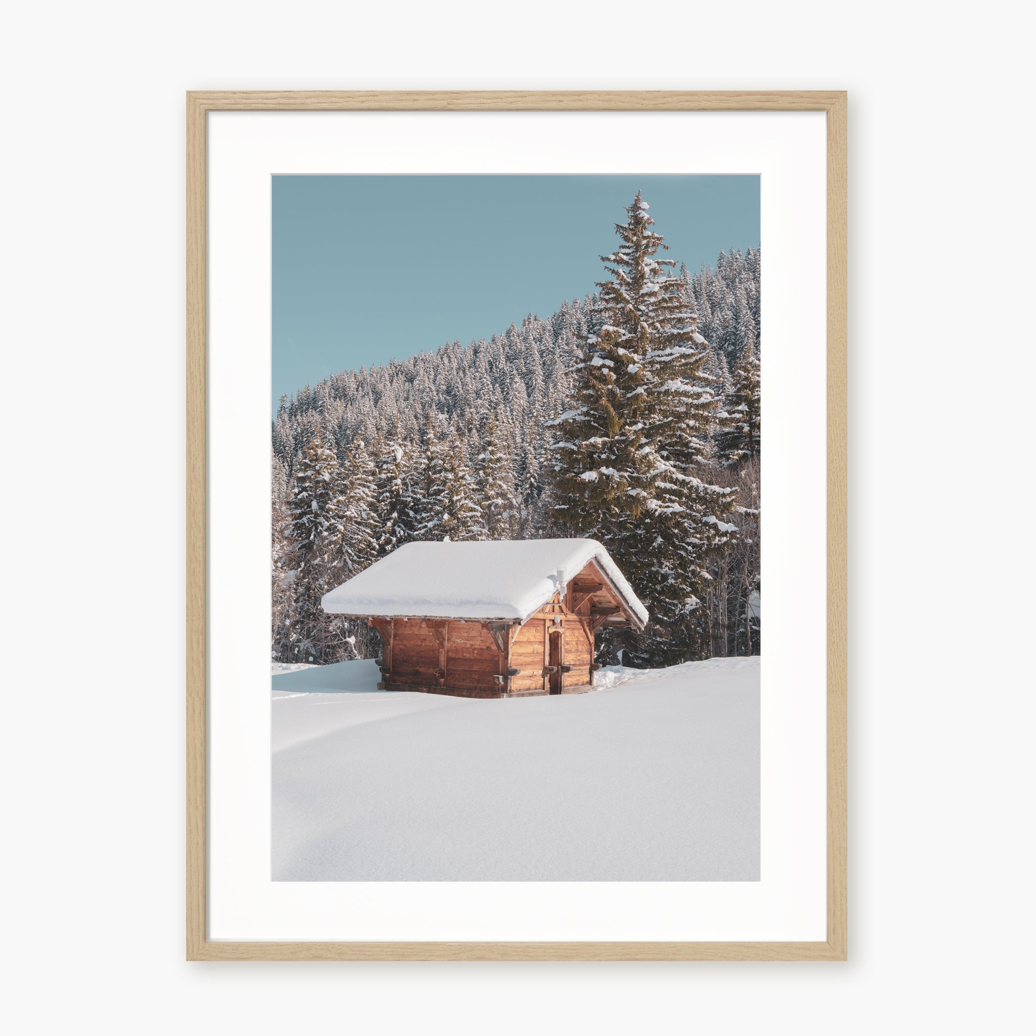 White Paradise