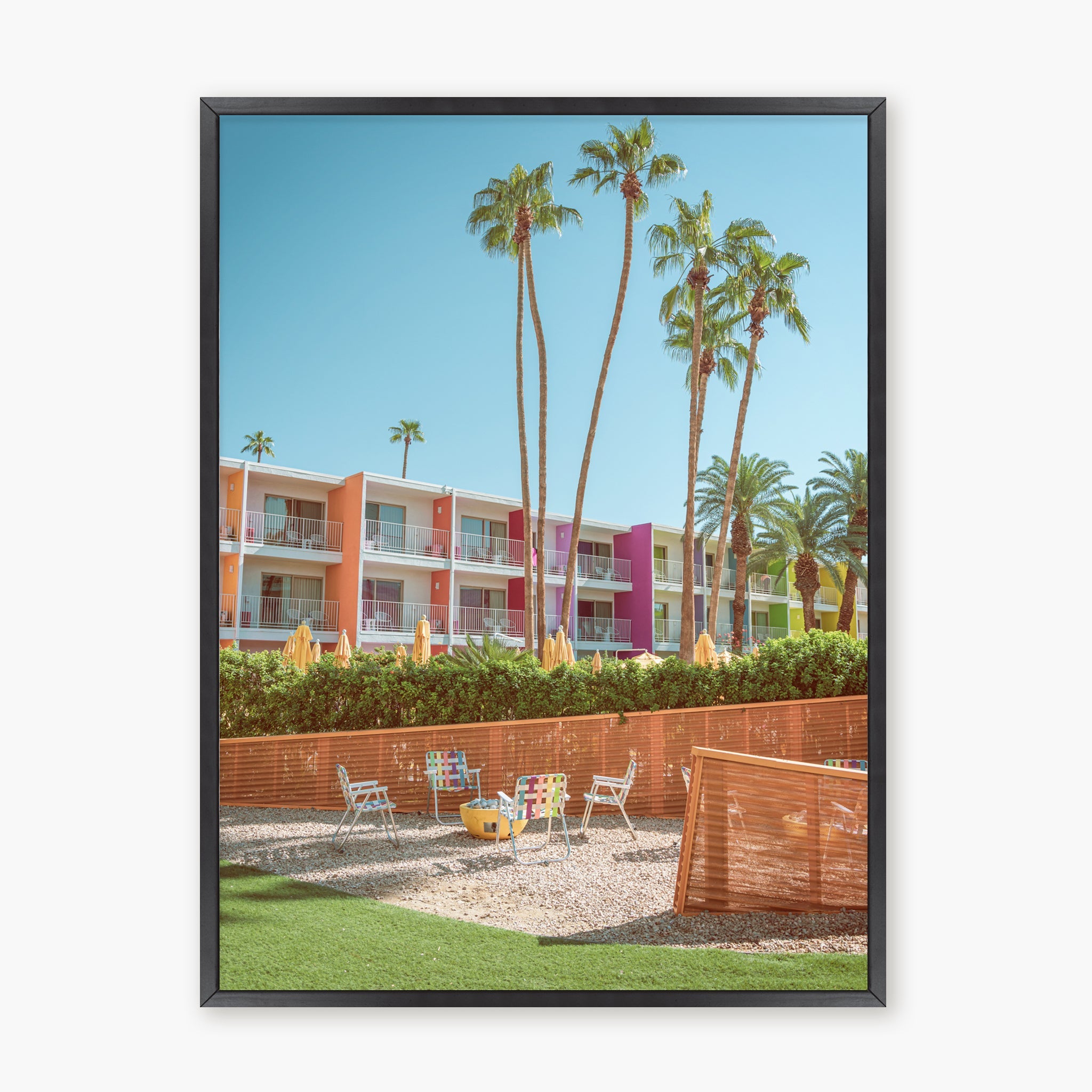 The Saguaro Garden