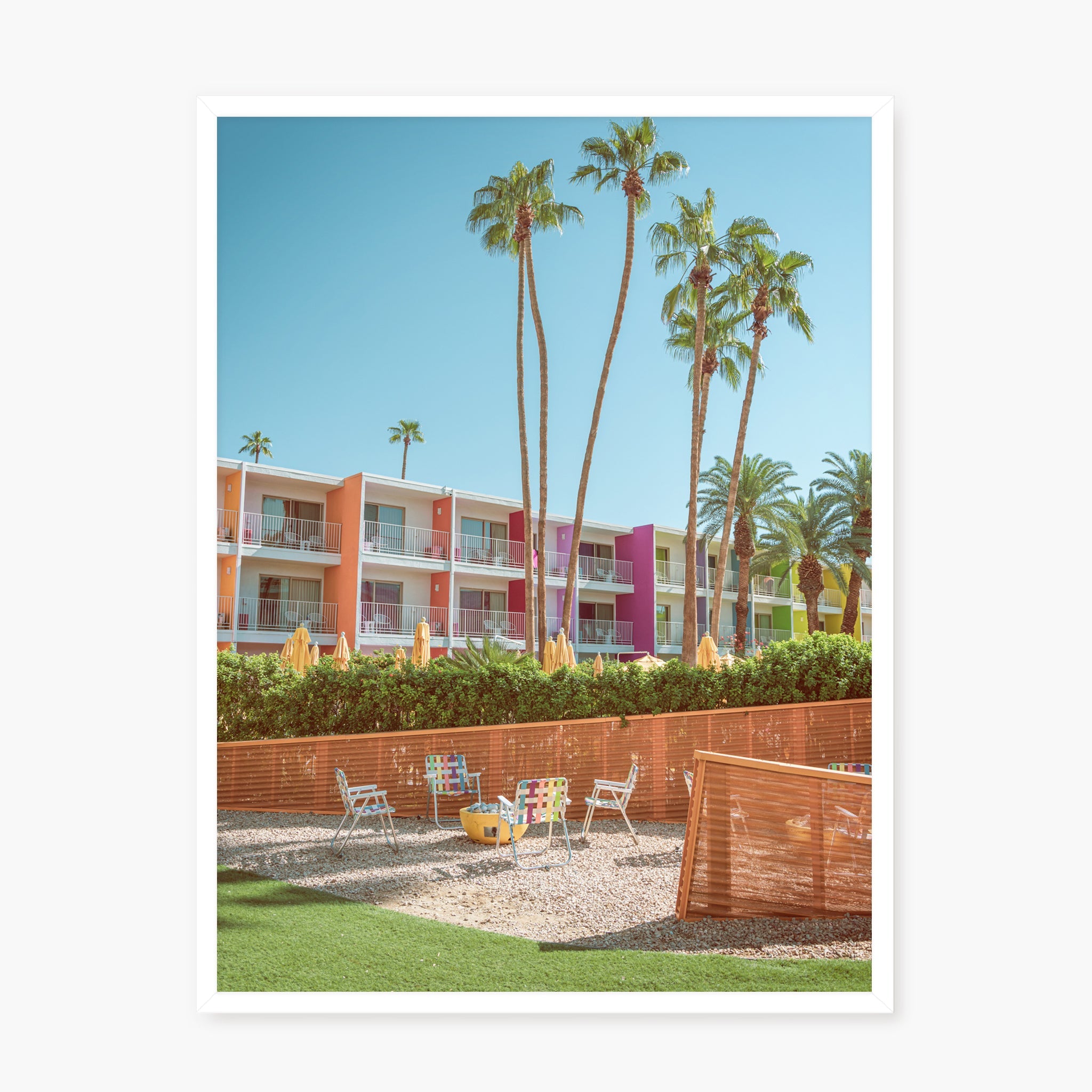 The Saguaro Garden