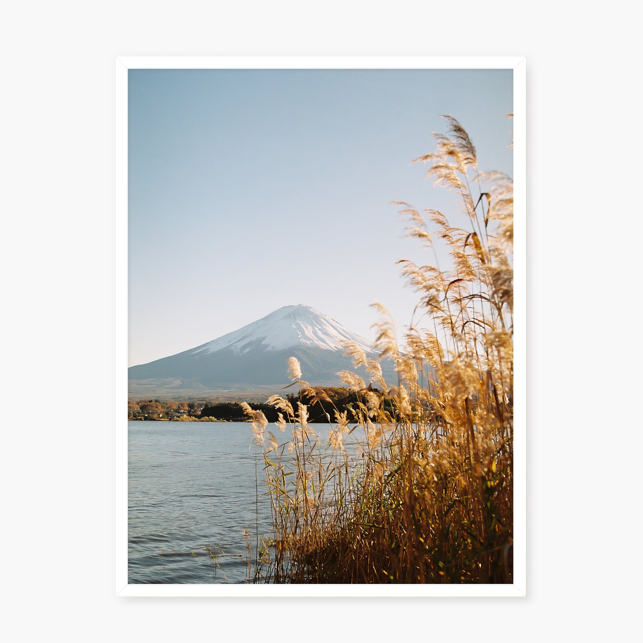 Fuji-San