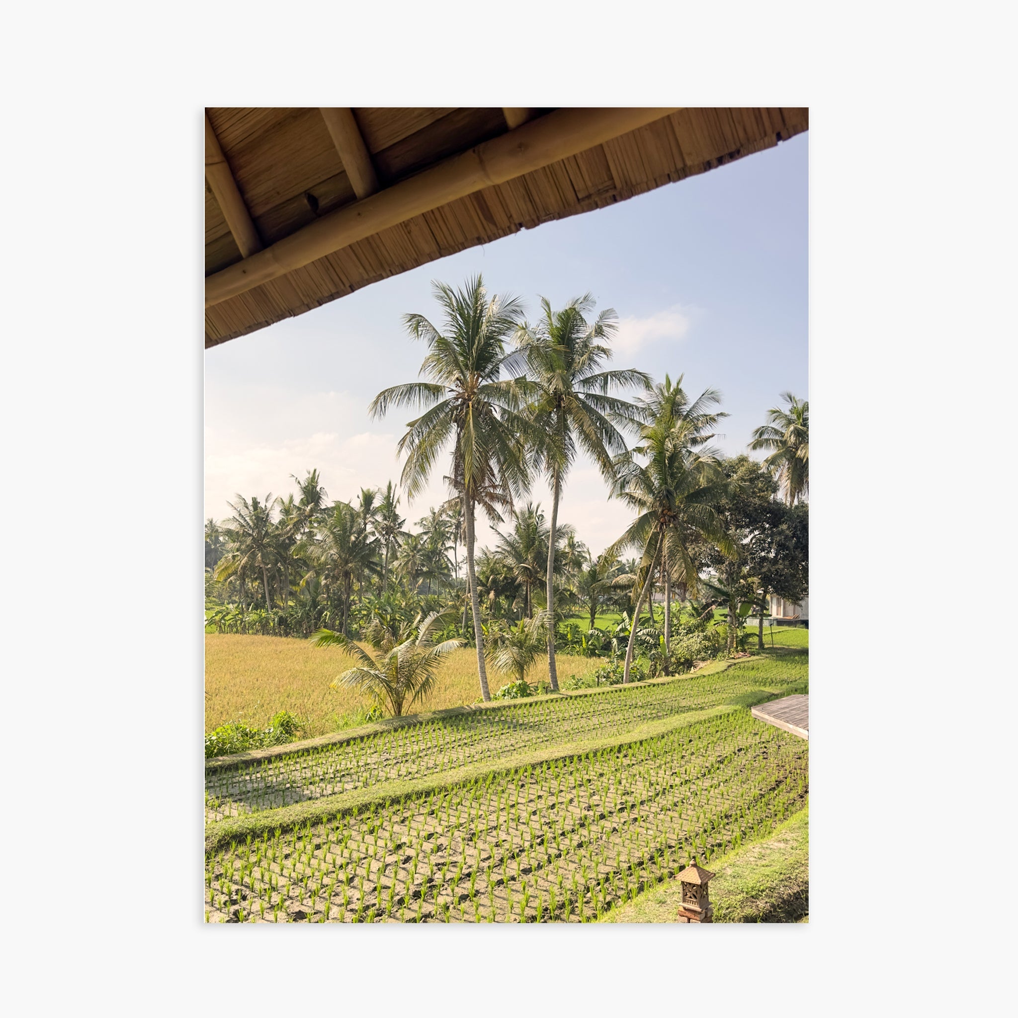 Window to Ubud