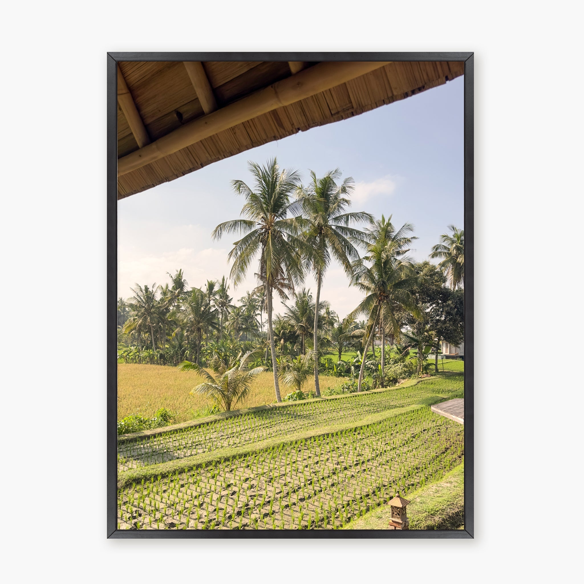 Window to Ubud