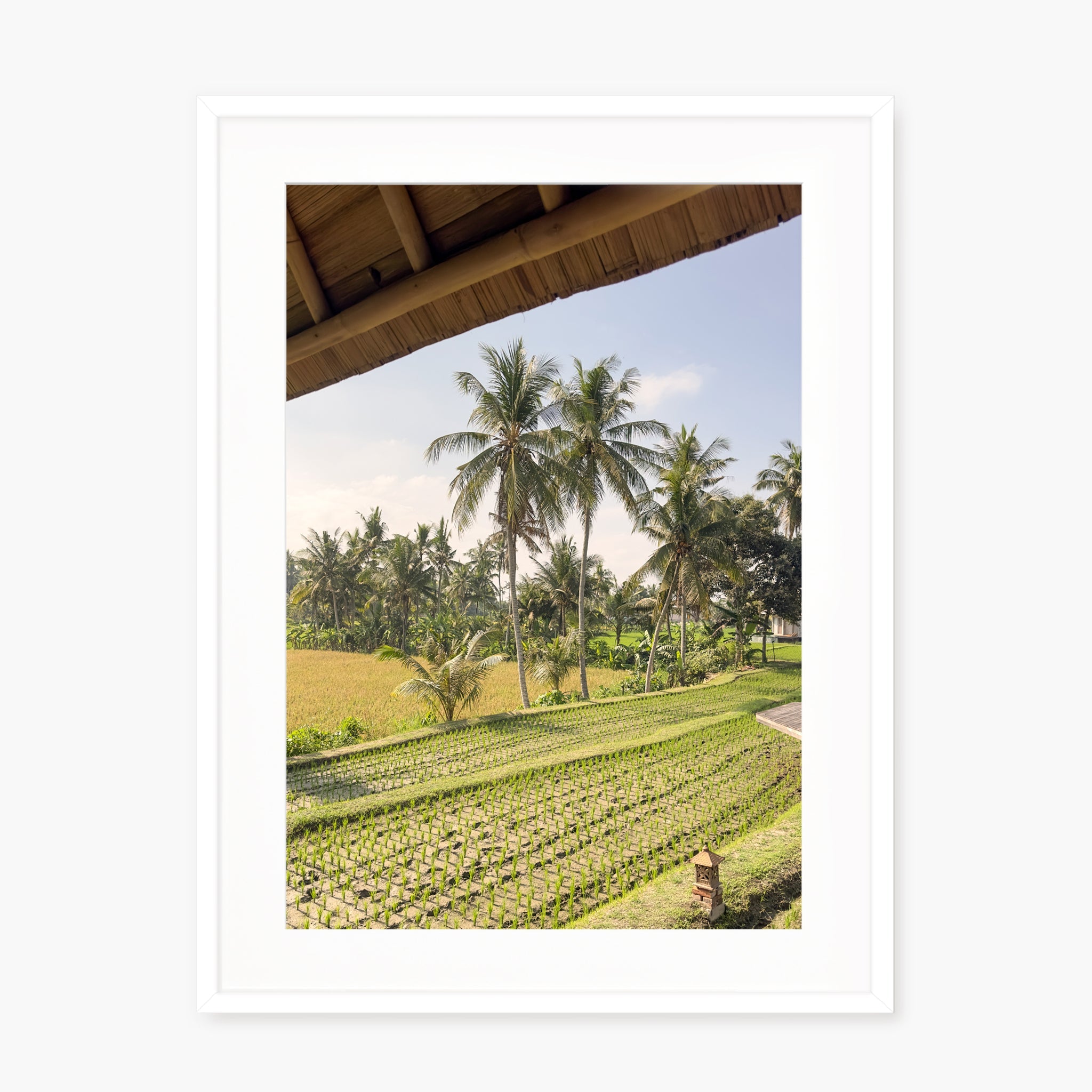 Window to Ubud