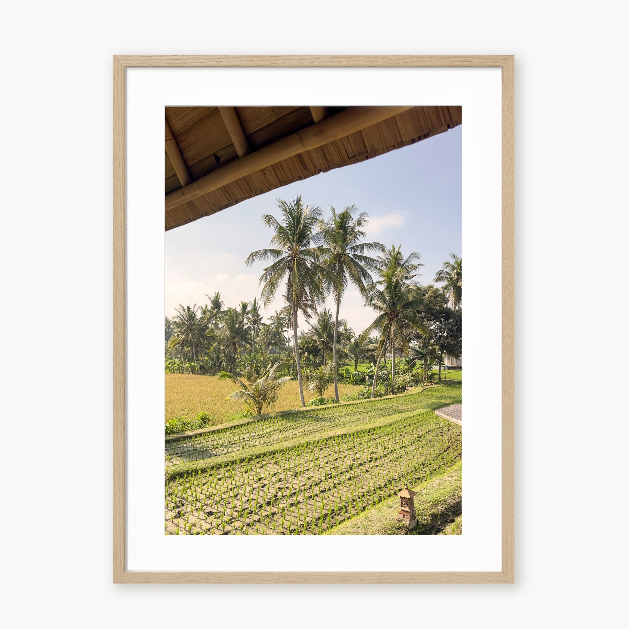 Window to Ubud