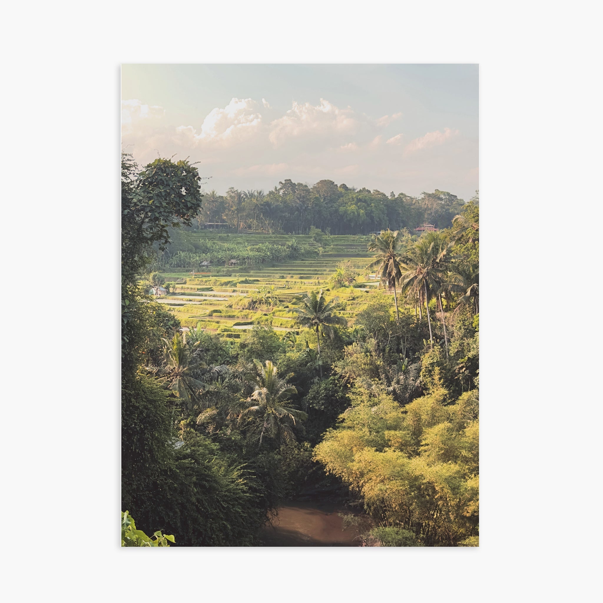 Ubud Rice Fields