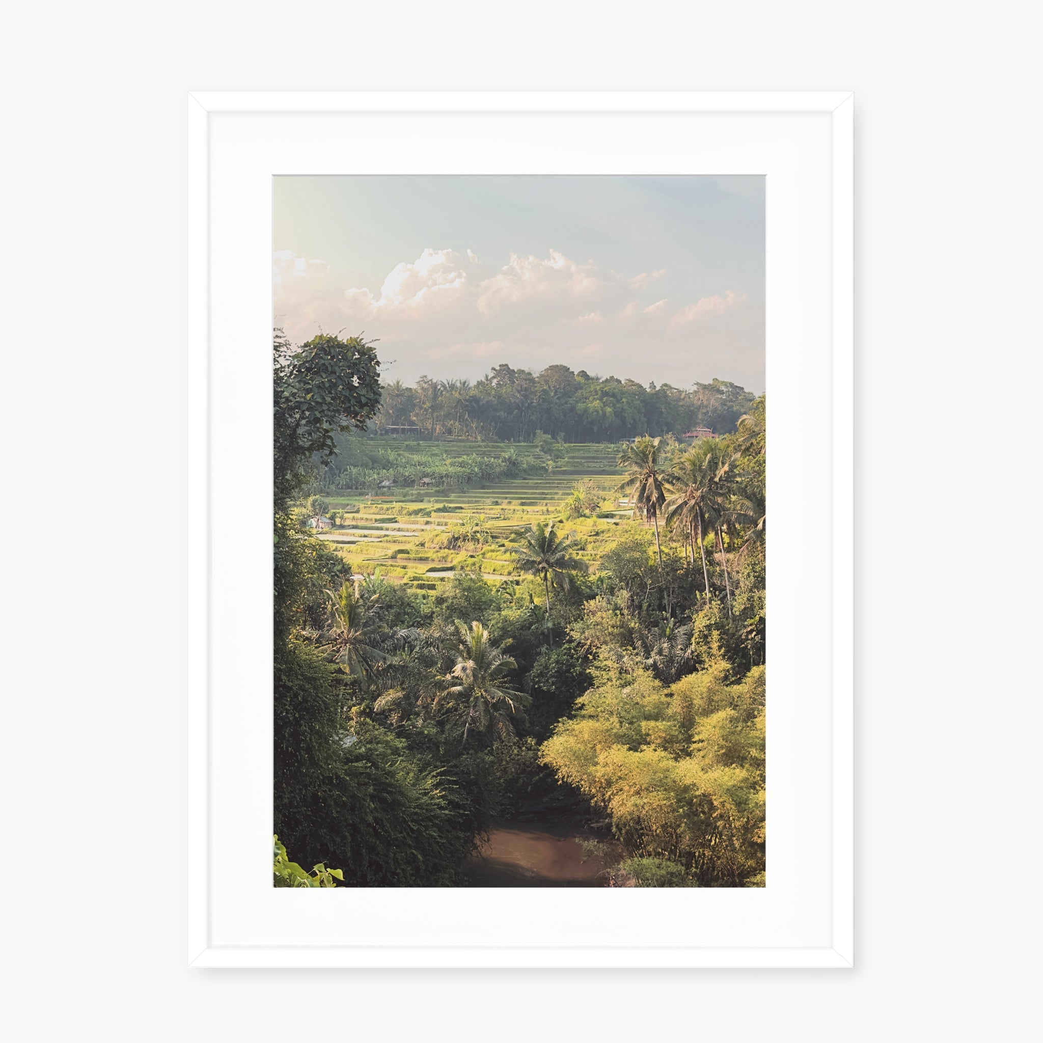 Ubud Rice Fields