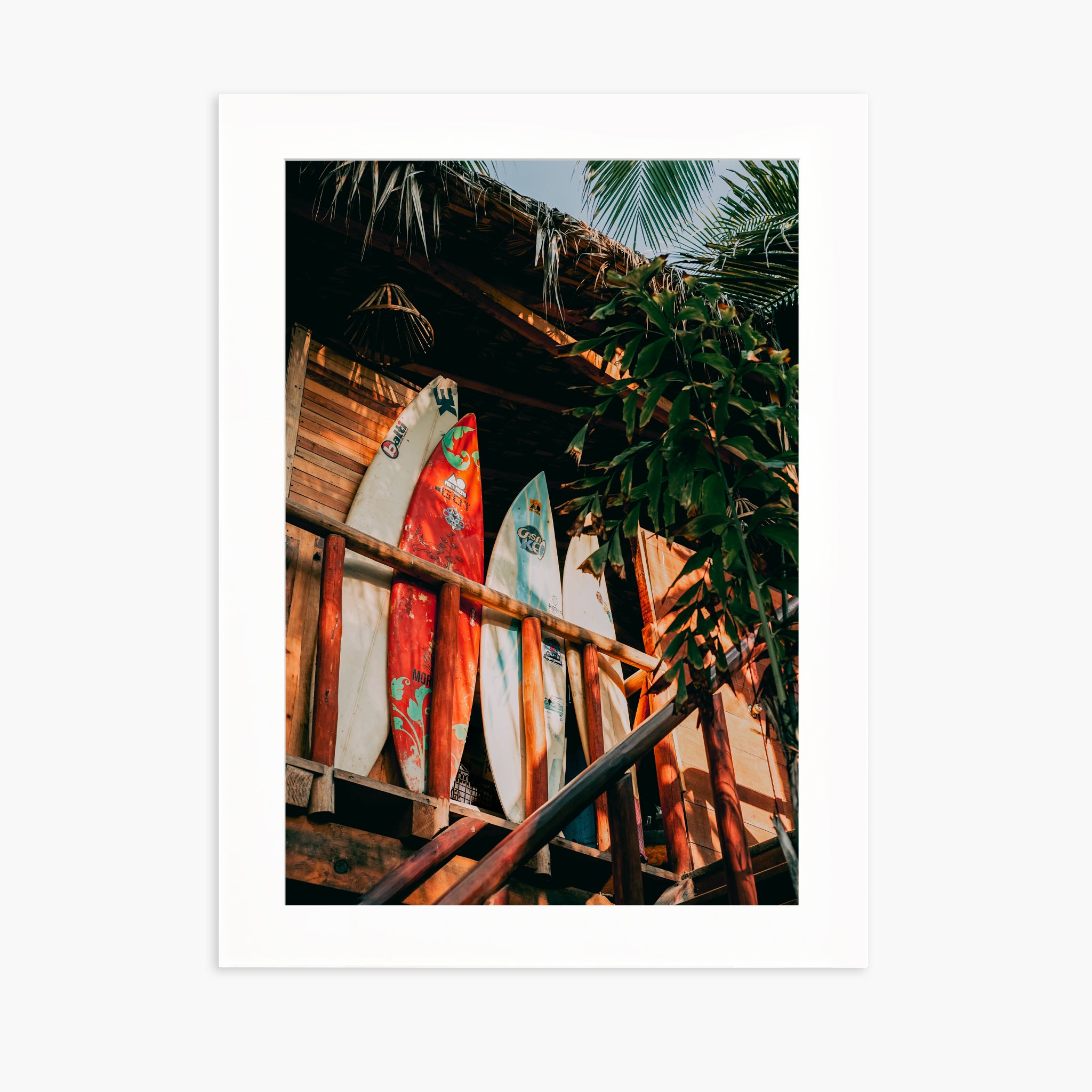Surfboard in Jungle